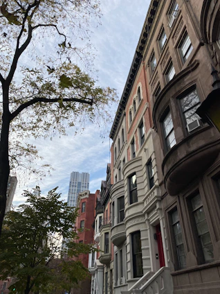 A row of multi-story, historic brownstone buildings with varying architectural details, such as bay windows and cornices, lines a city street. The buildings are surrounded by bare trees with few remaining leaves, and a modern skyscraper is visible in the background against a partly cloudy sky.