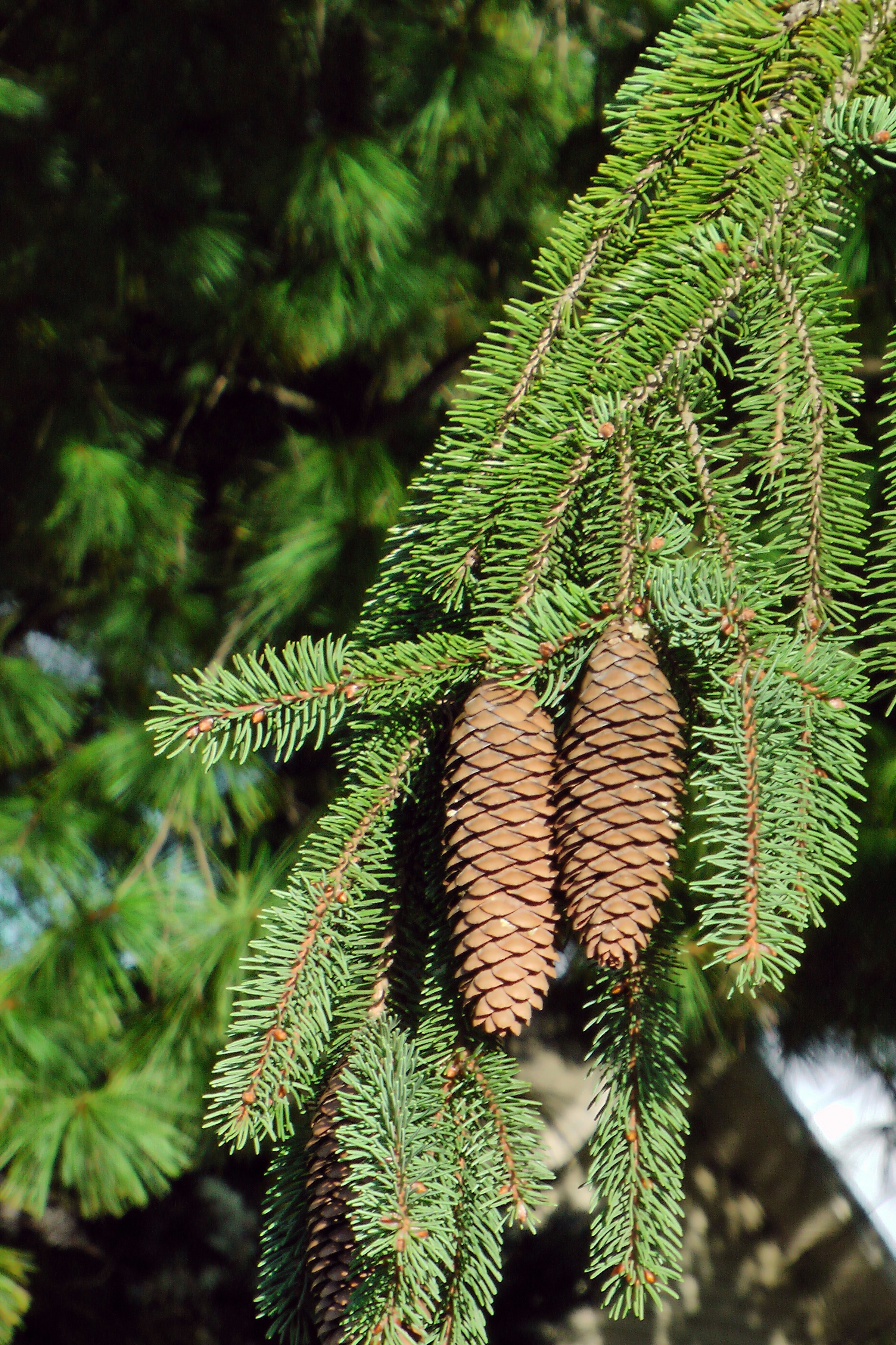 Photo by anniethingspossible