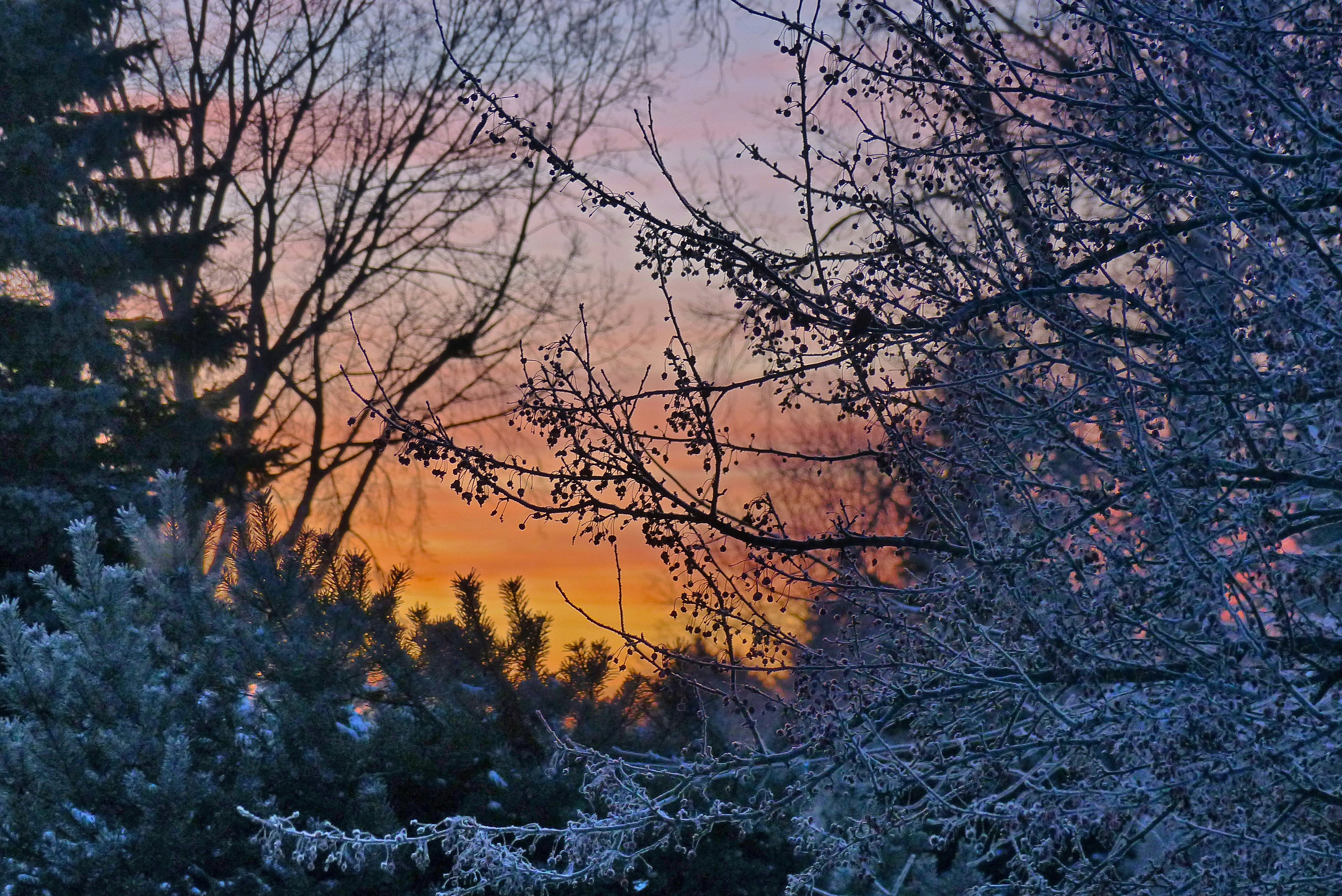 Photo by anniethingspossible