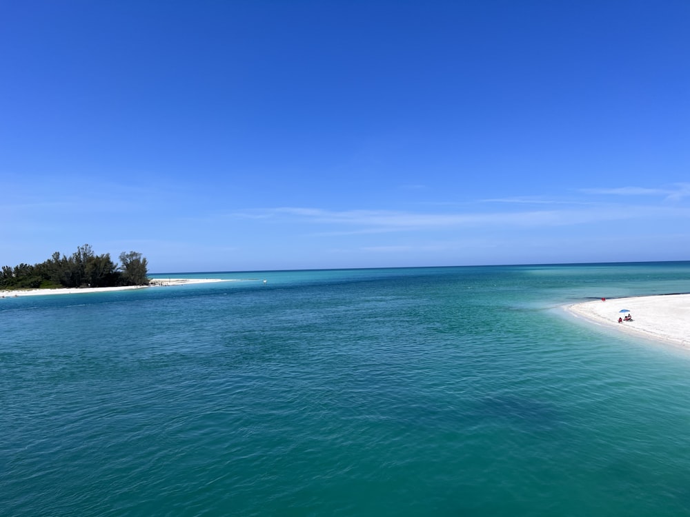 a body of water with a beach and trees in the background