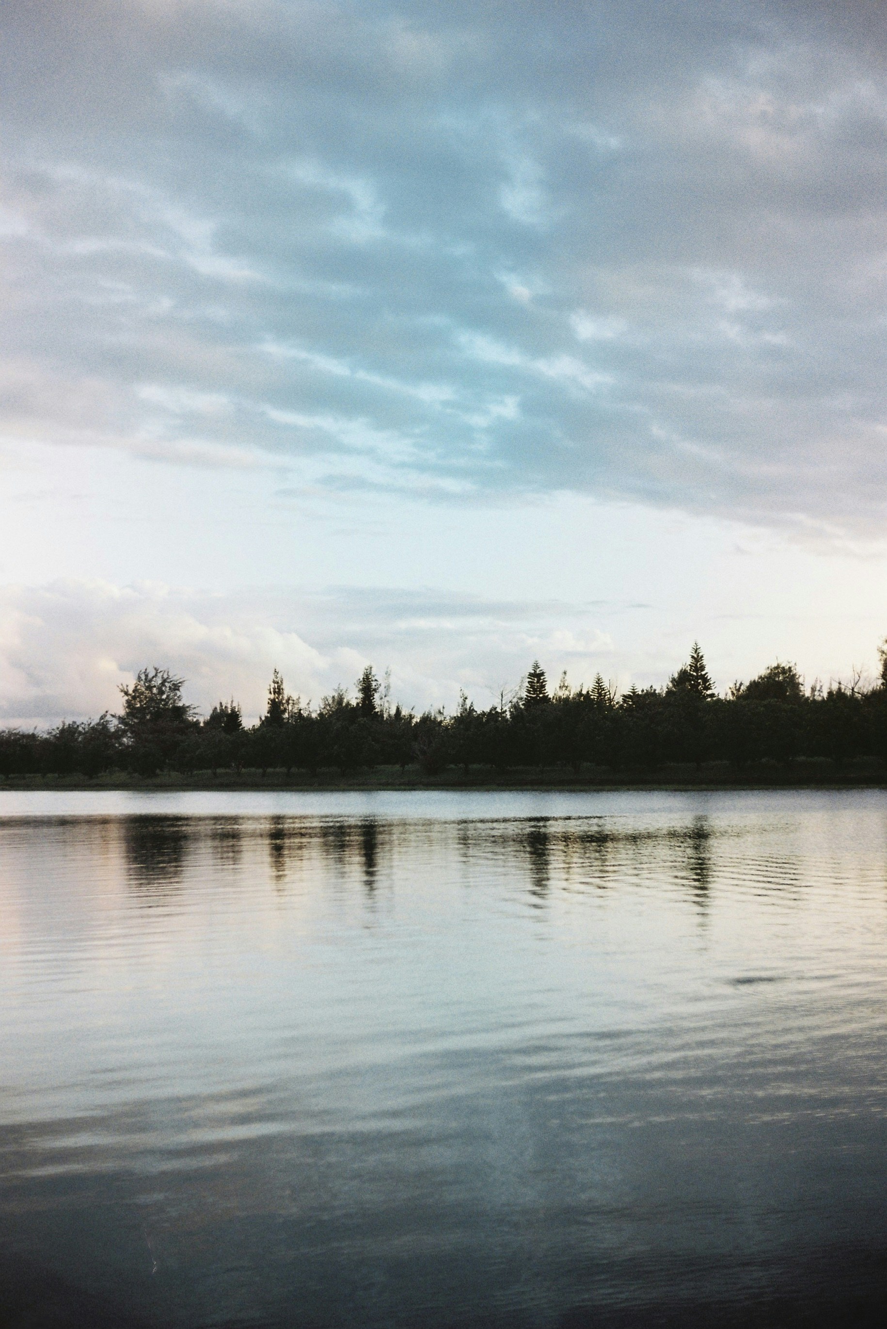 Photo by yangchihshih