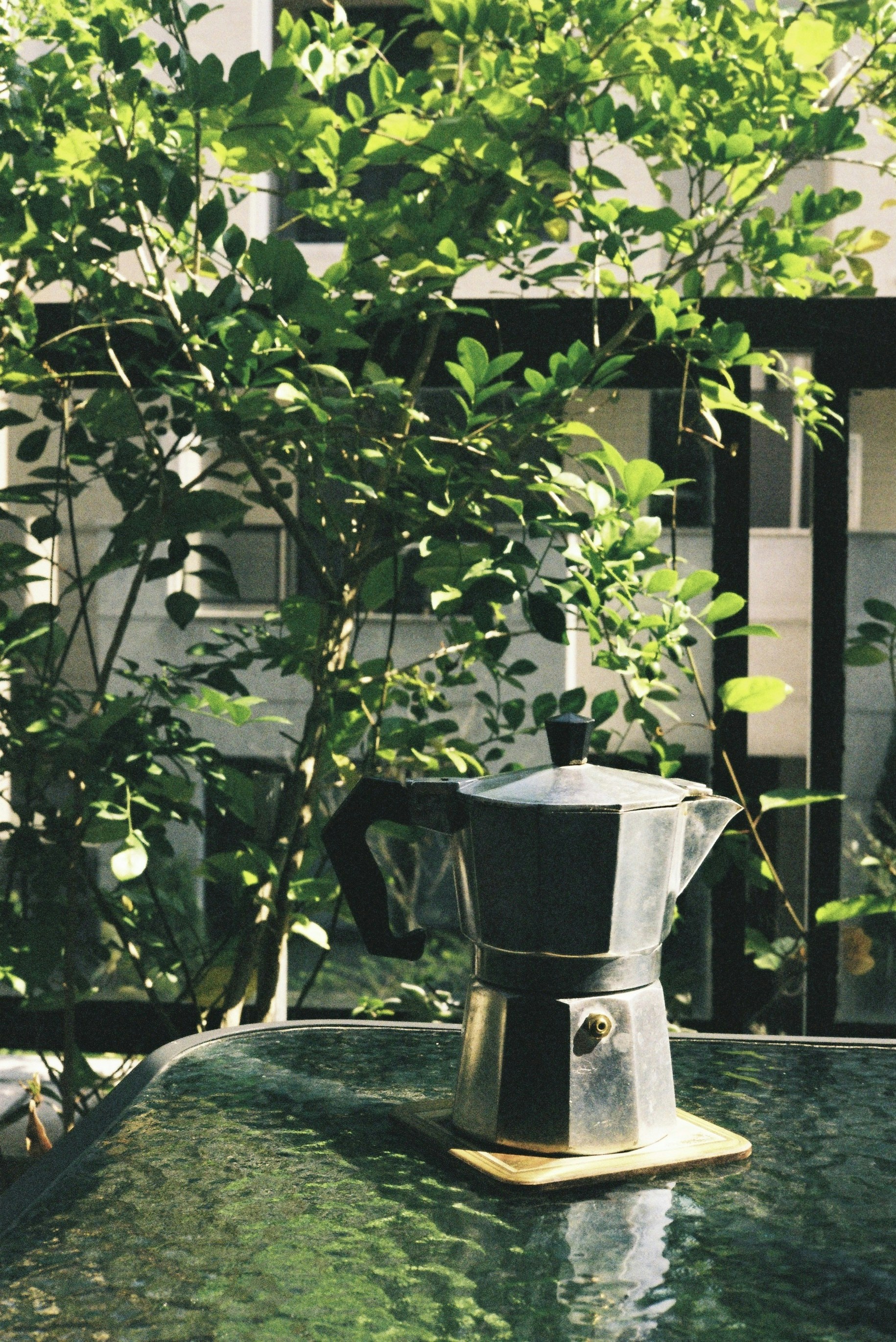 Photo by yangchihshih