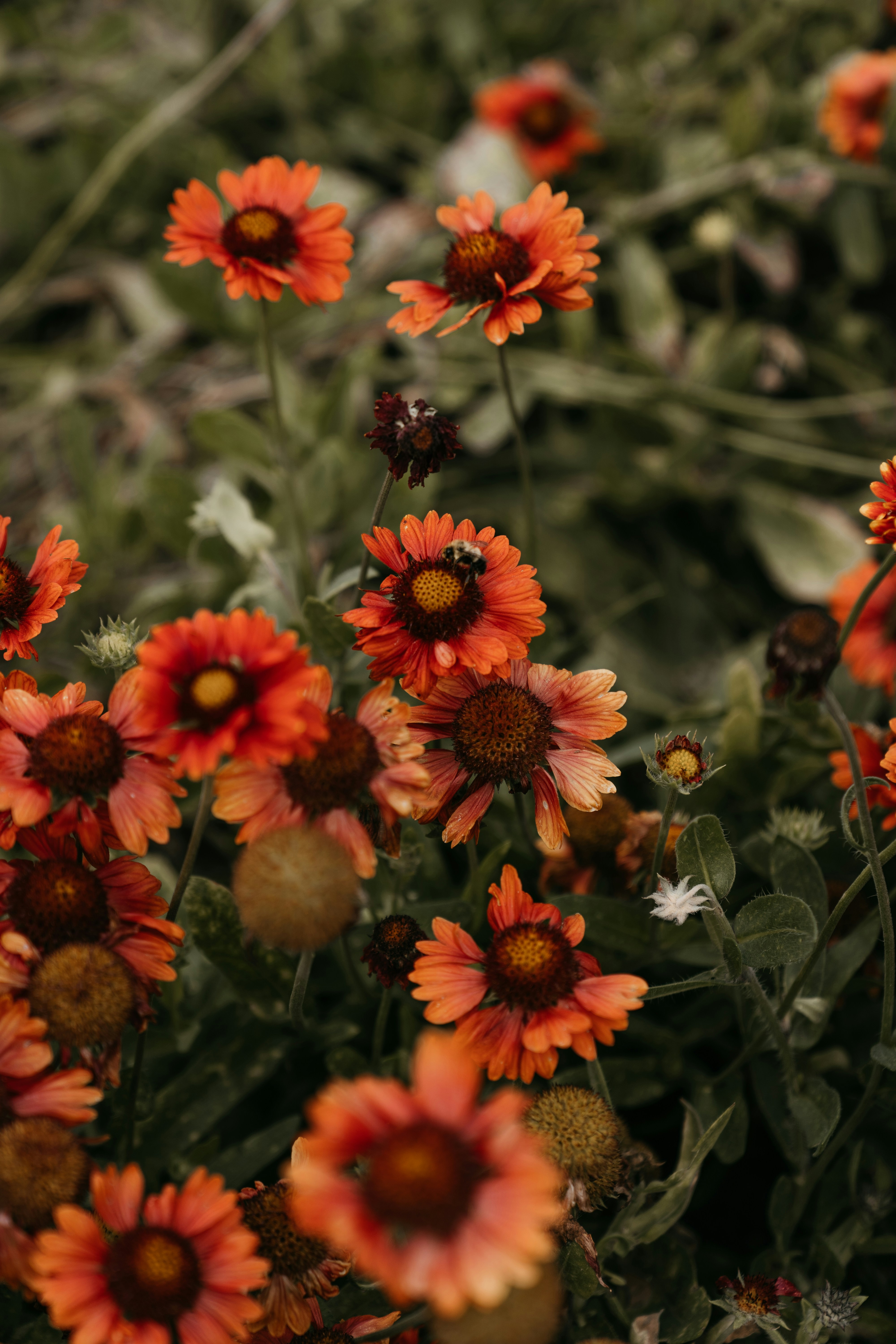 Photo by reddfrancisco