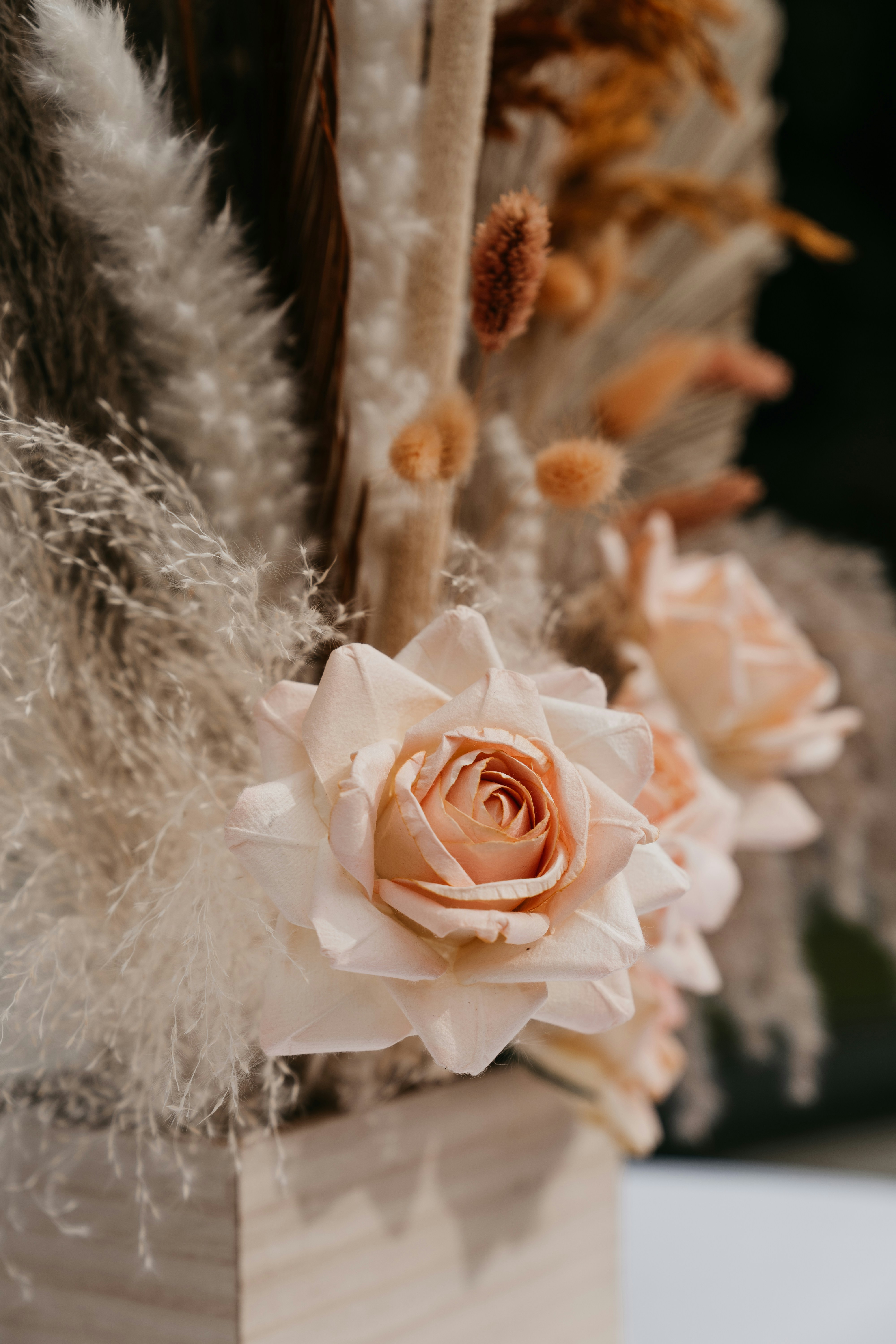 Photo by reddfrancisco