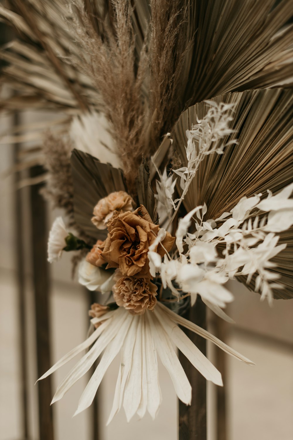 a close up of a flower