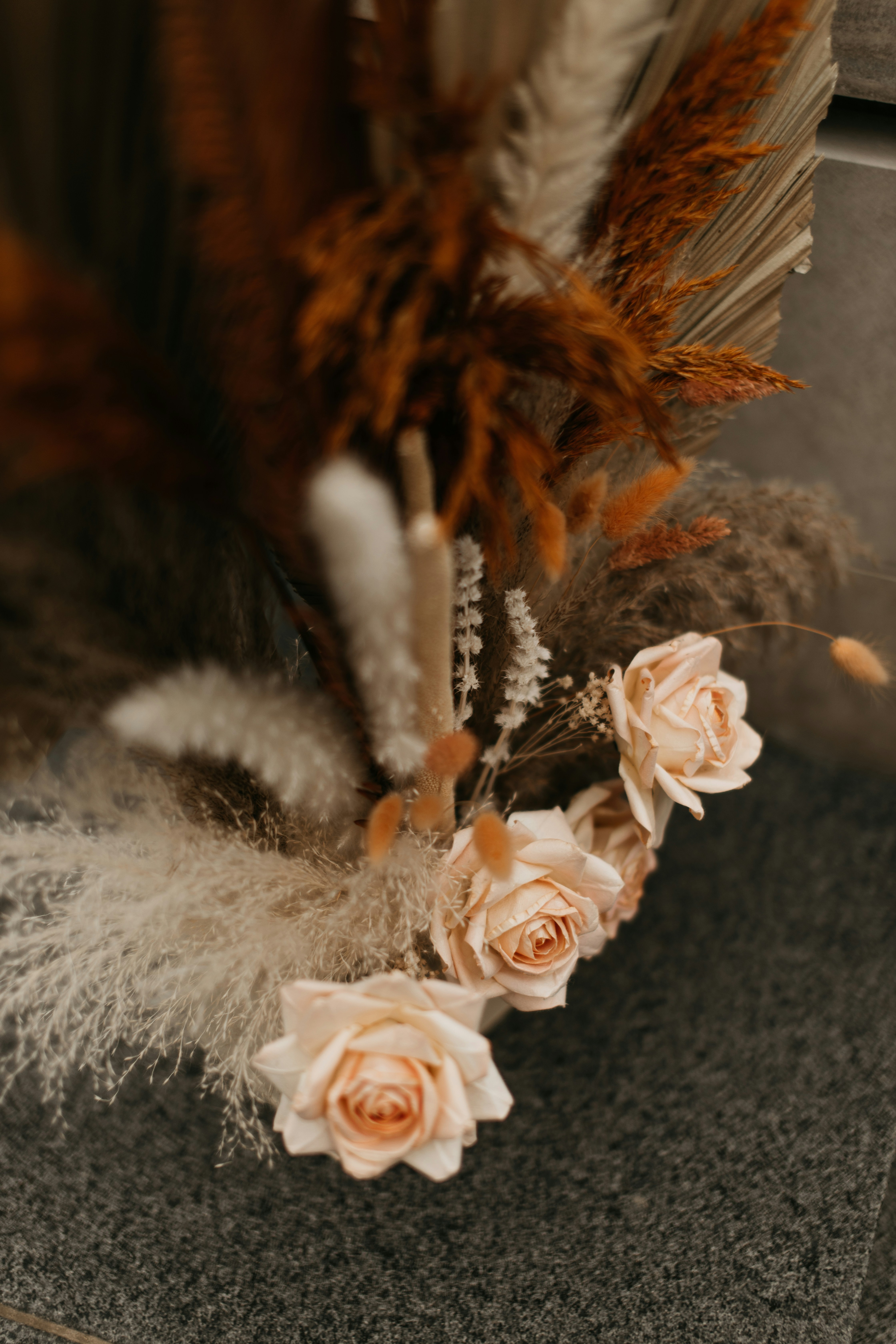 Photo by reddfrancisco