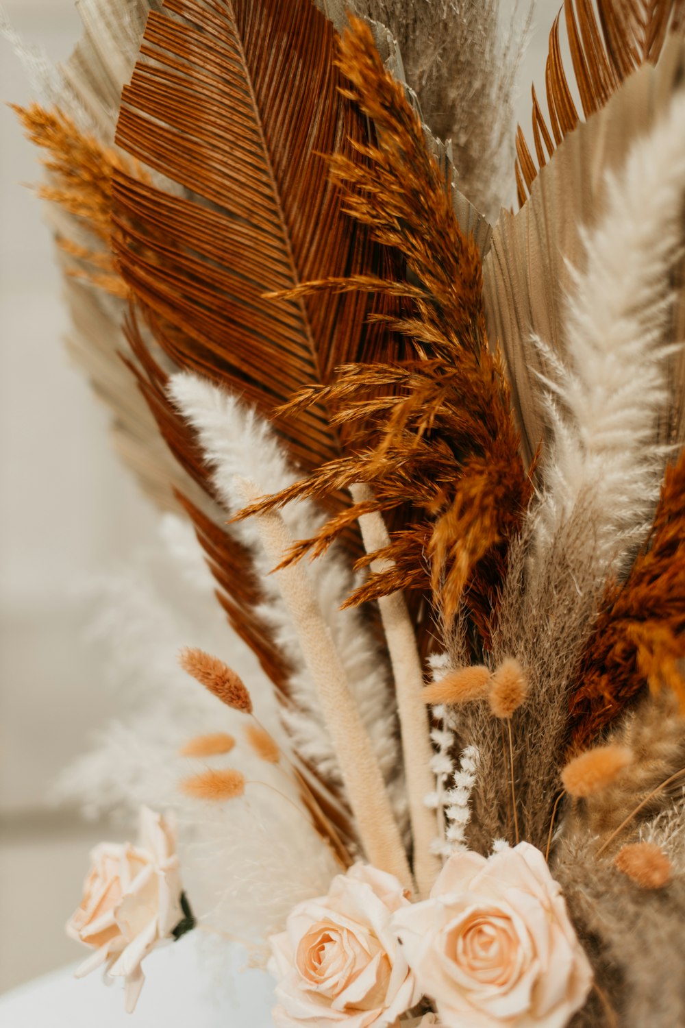 a close up of a tree branch