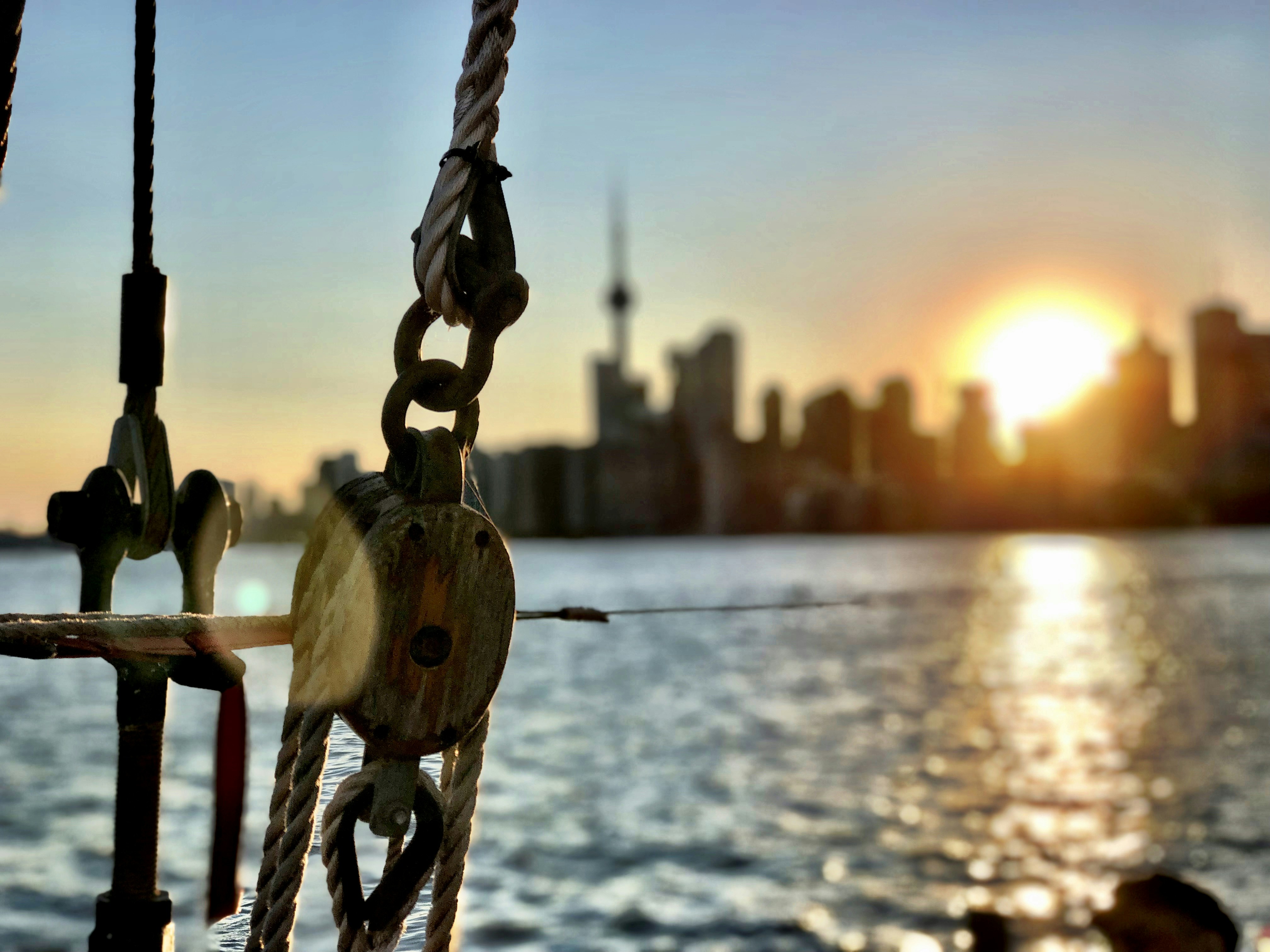 a metal fence with a body of water and a city in the background