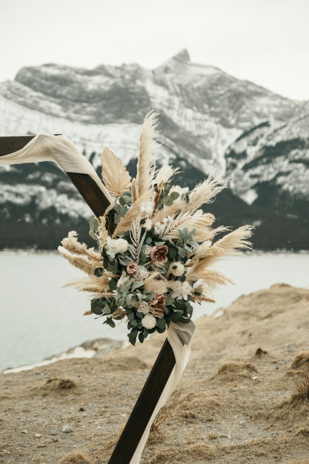 a plant with flowers on a rocky surface with a body of water in the background