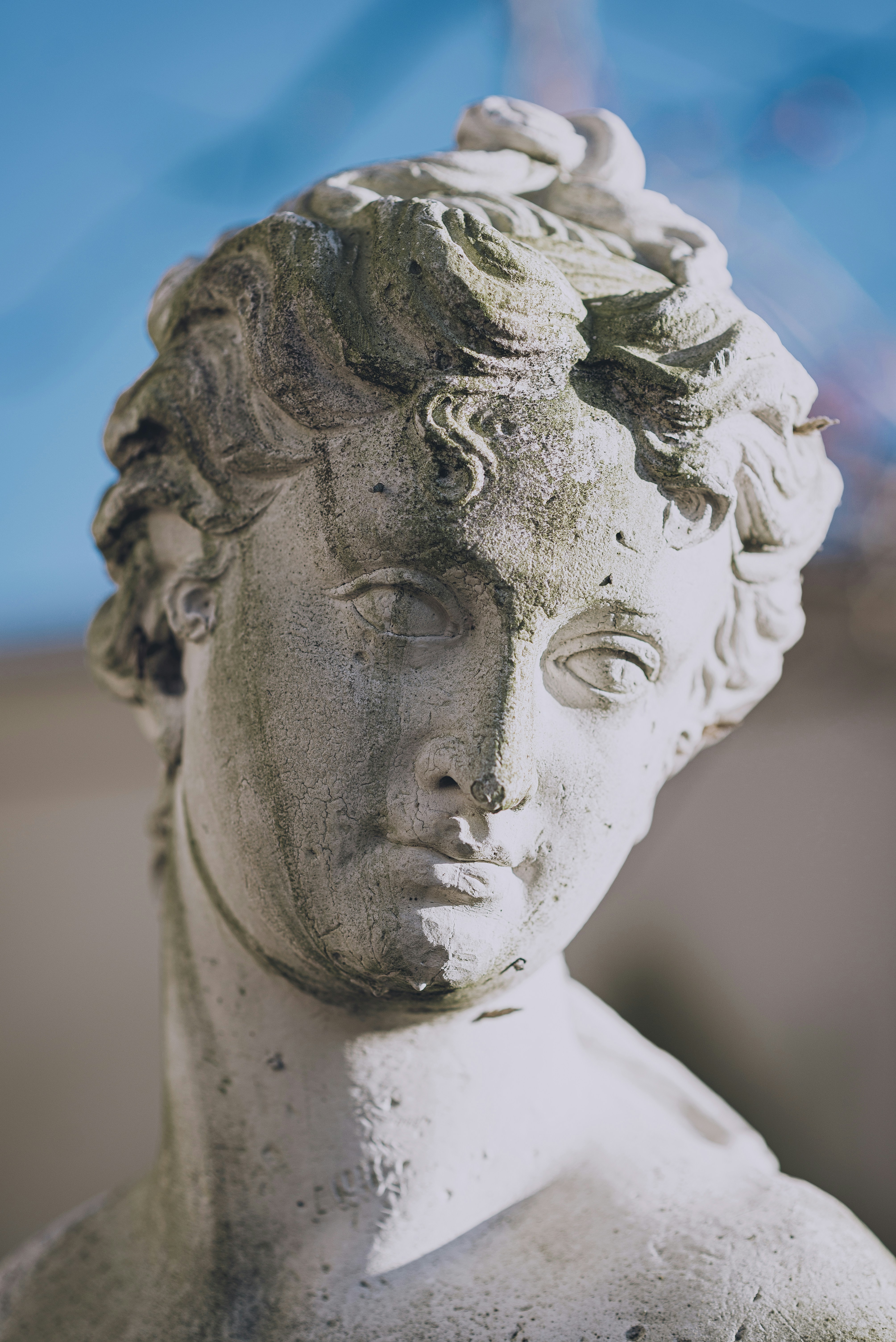 Photo by taiyoushounen