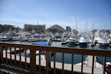 A panoramic view of a marina filled with boats under a clear blue sky.