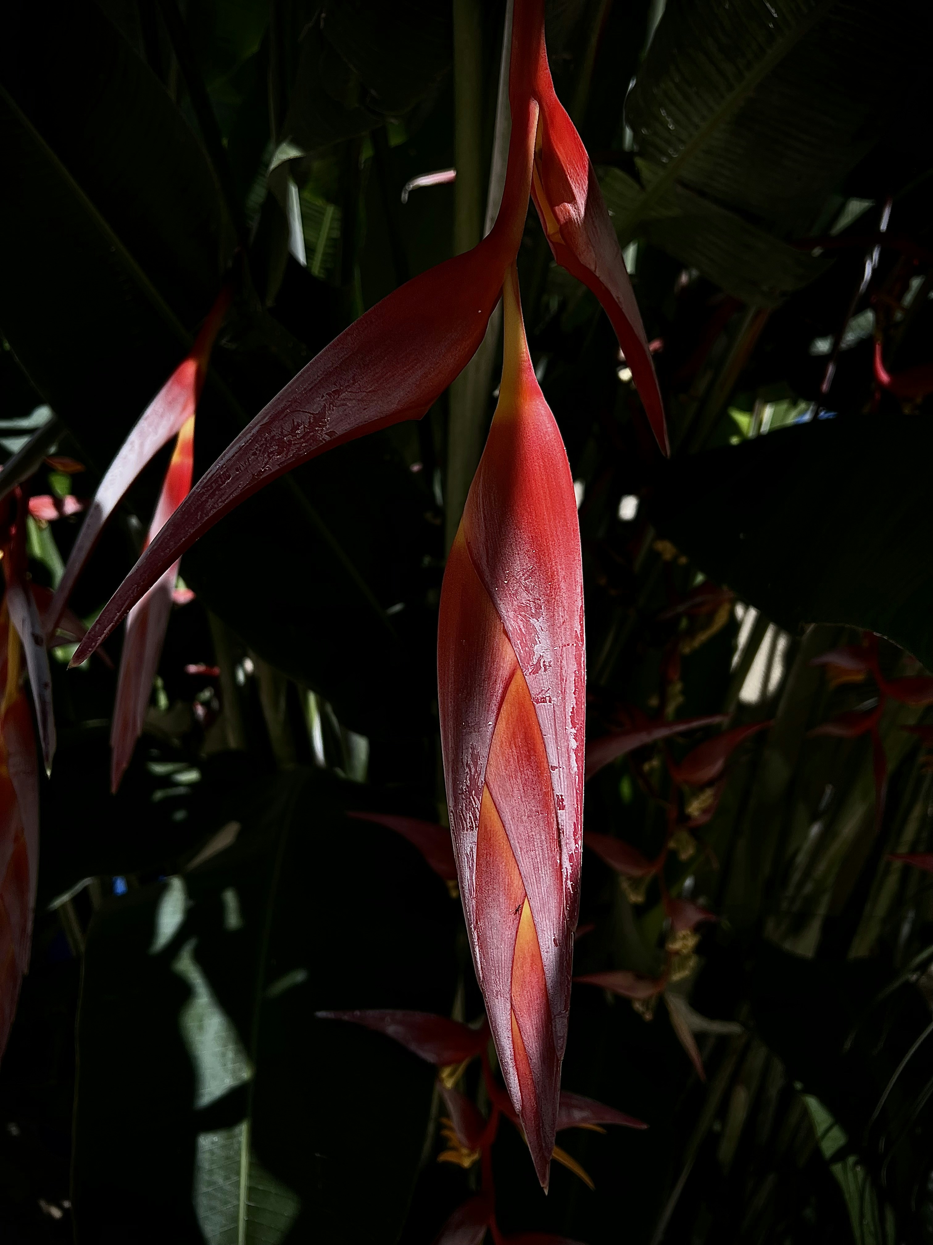 Photo by victorgfonseca