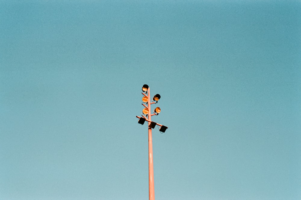 a traffic light with a couple of birds on it