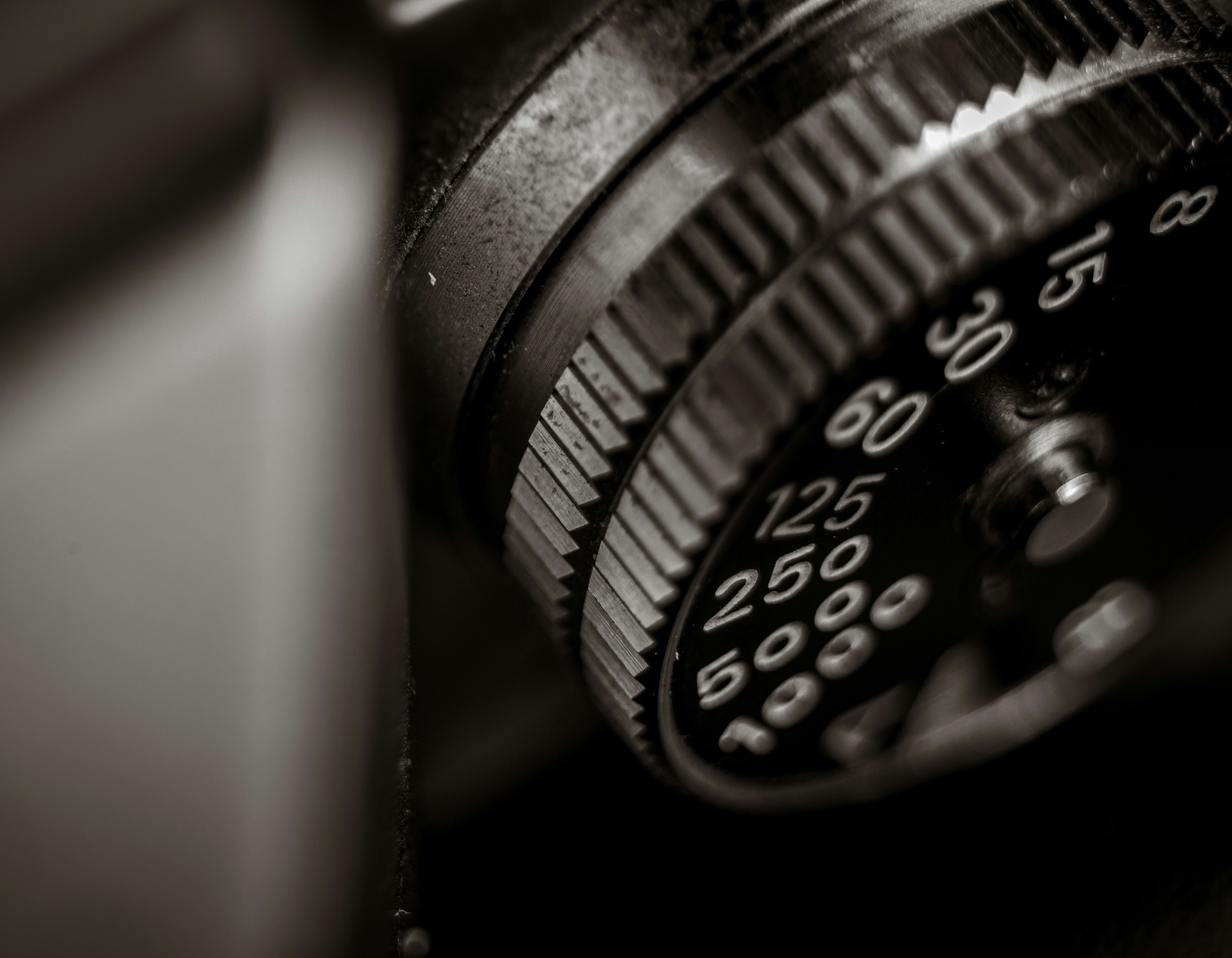 Photo by kingkonggeorge