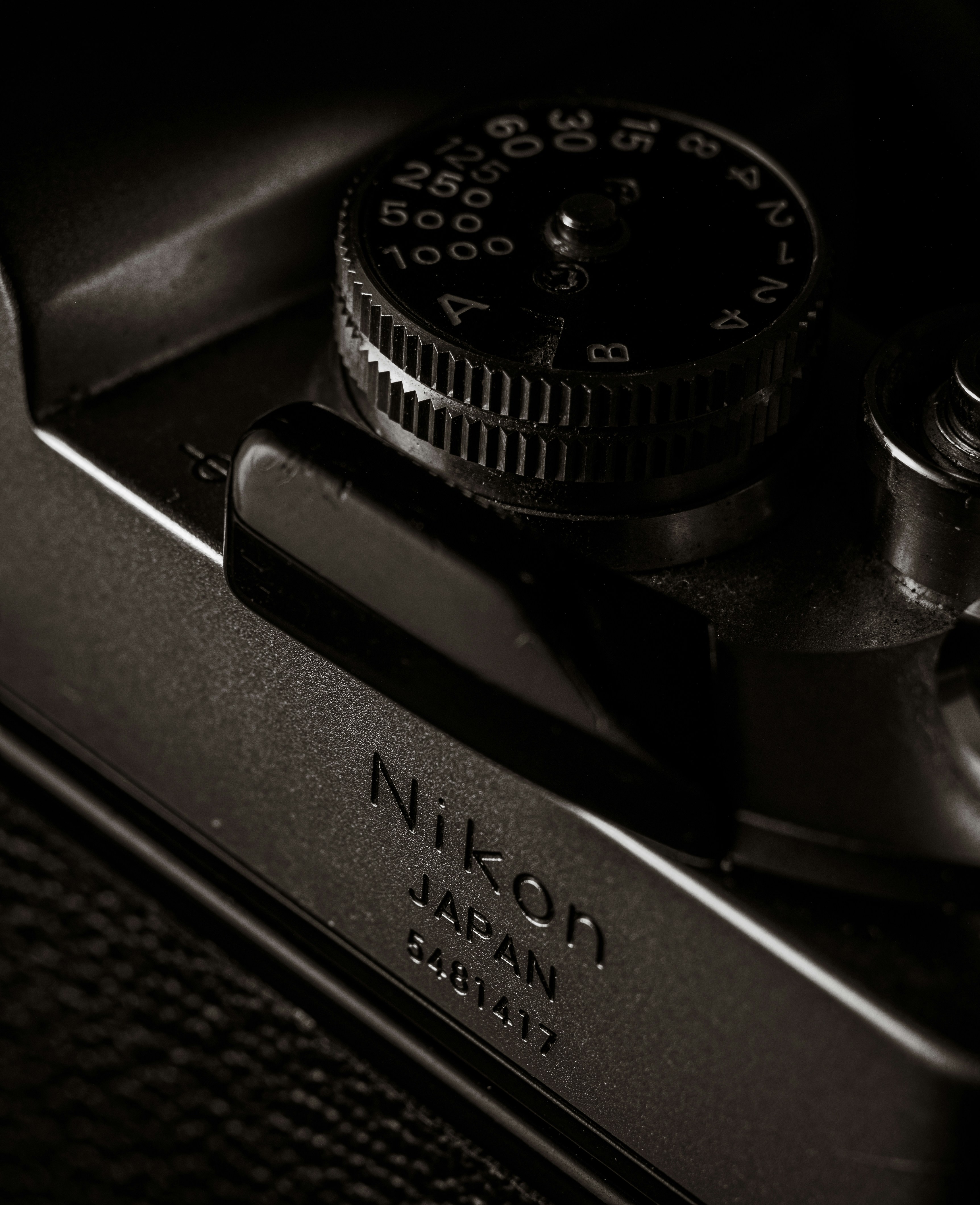 Photo by kingkonggeorge