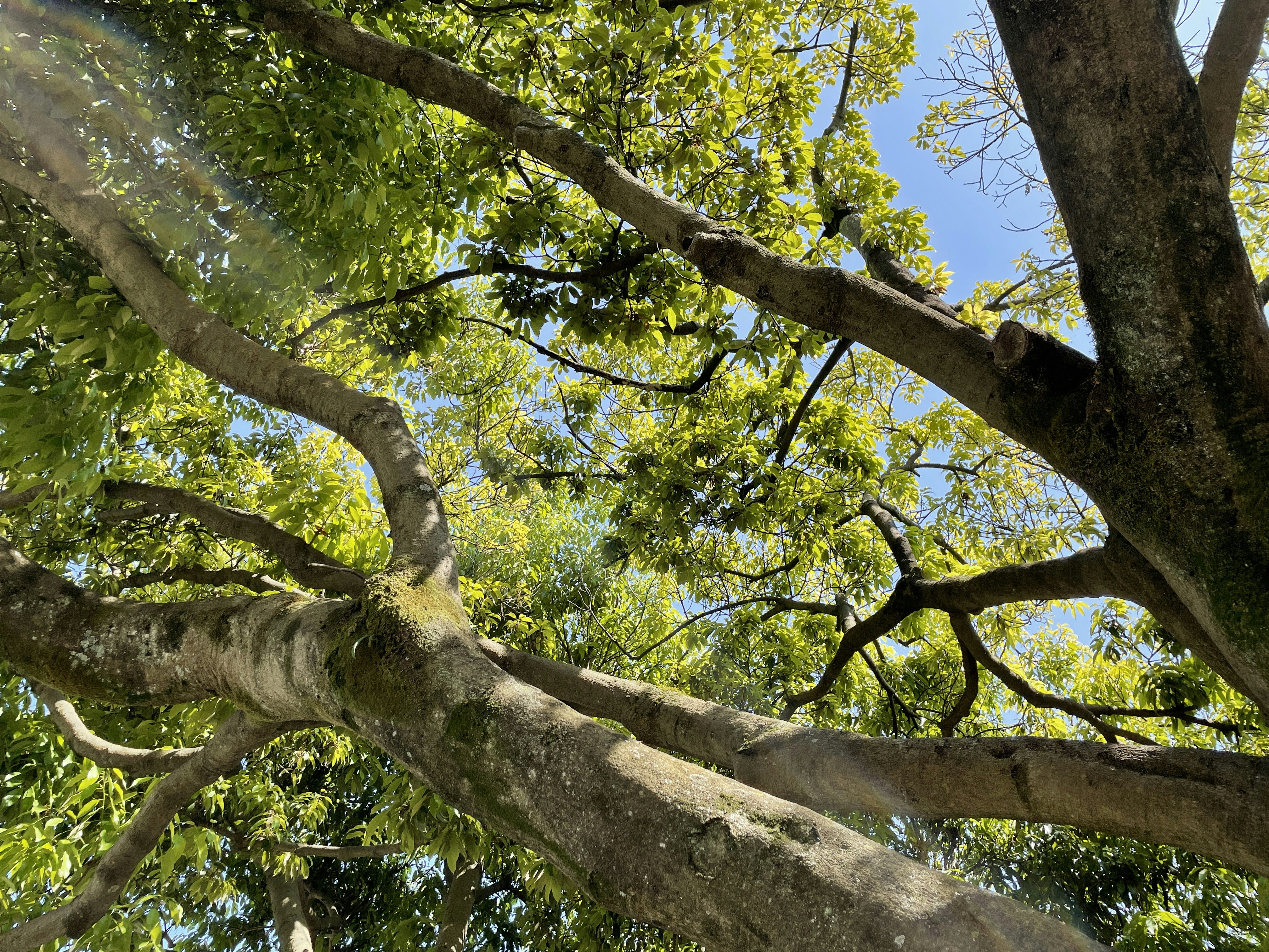 Photo by soudaisasada