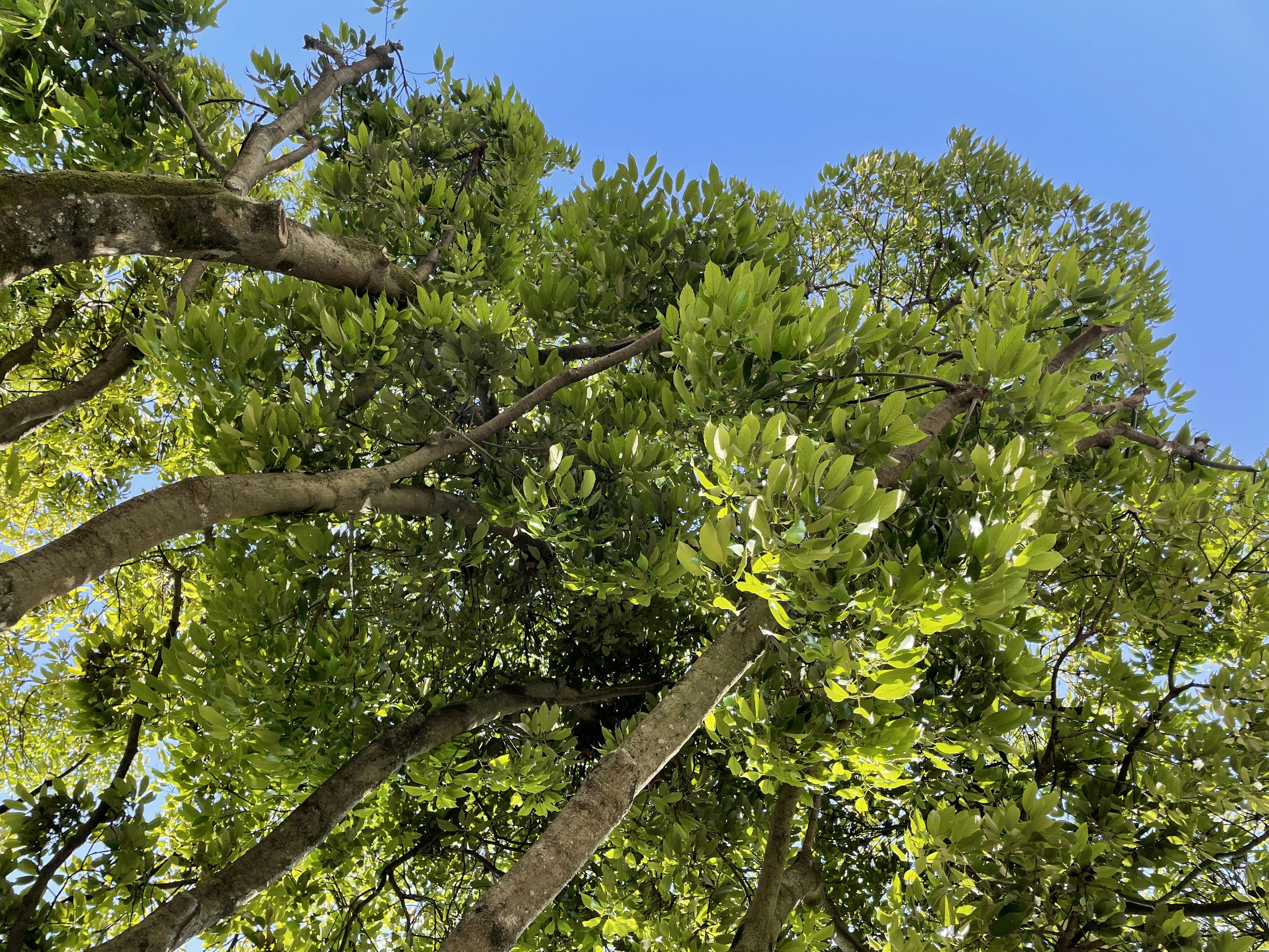 Photo by soudaisasada