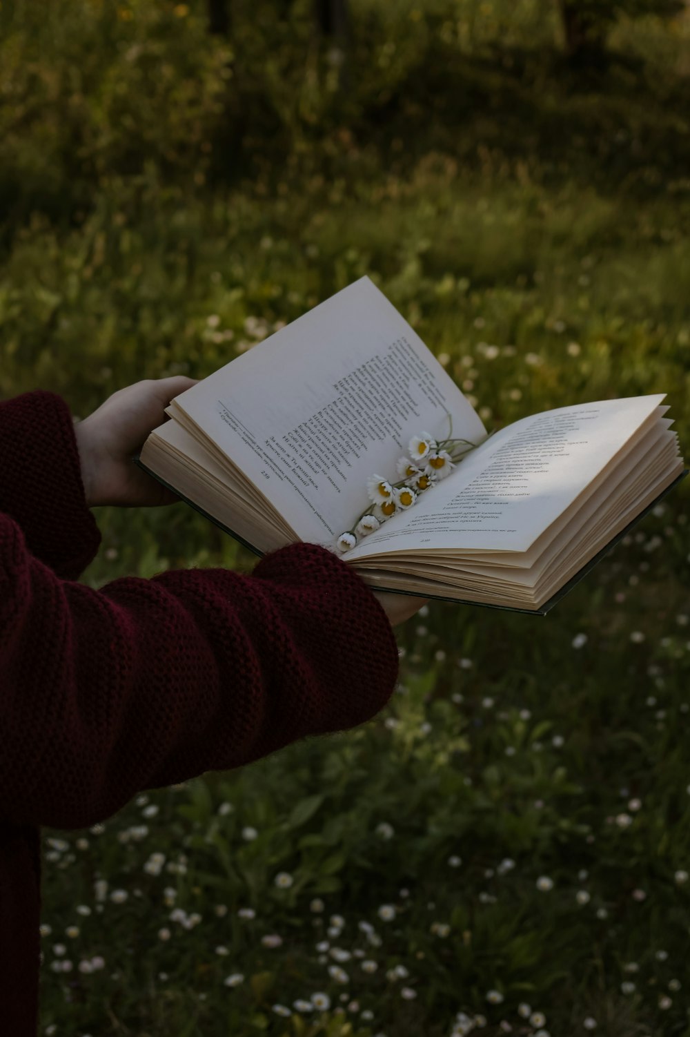 a person holding a book