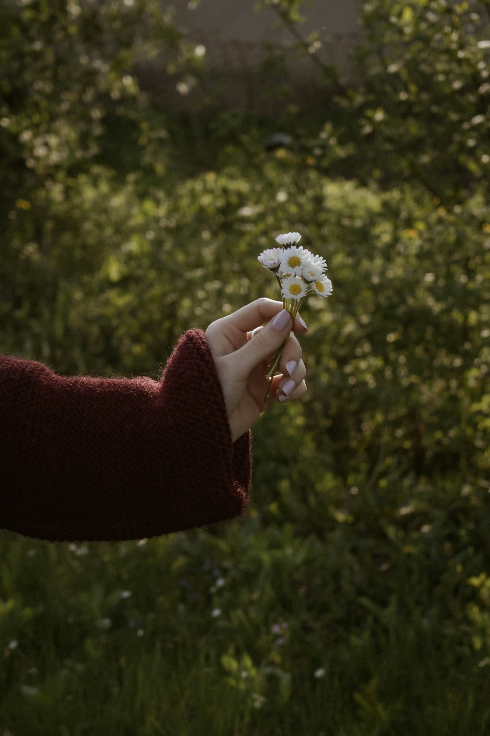 a person holding a flower