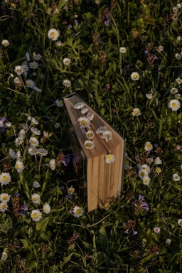 A thick book standing upright among lush green grass and wildflowers, with several white daisies placed between its pages. The setting is outdoors, likely in a natural meadow, conveying a serene and pastoral scene.