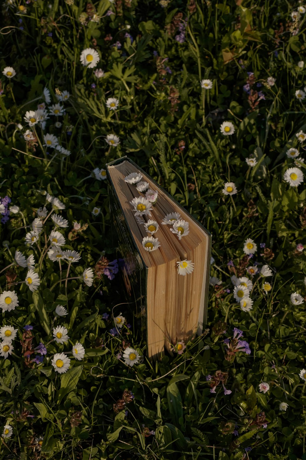 a wooden birdhouse surrounded by flowers