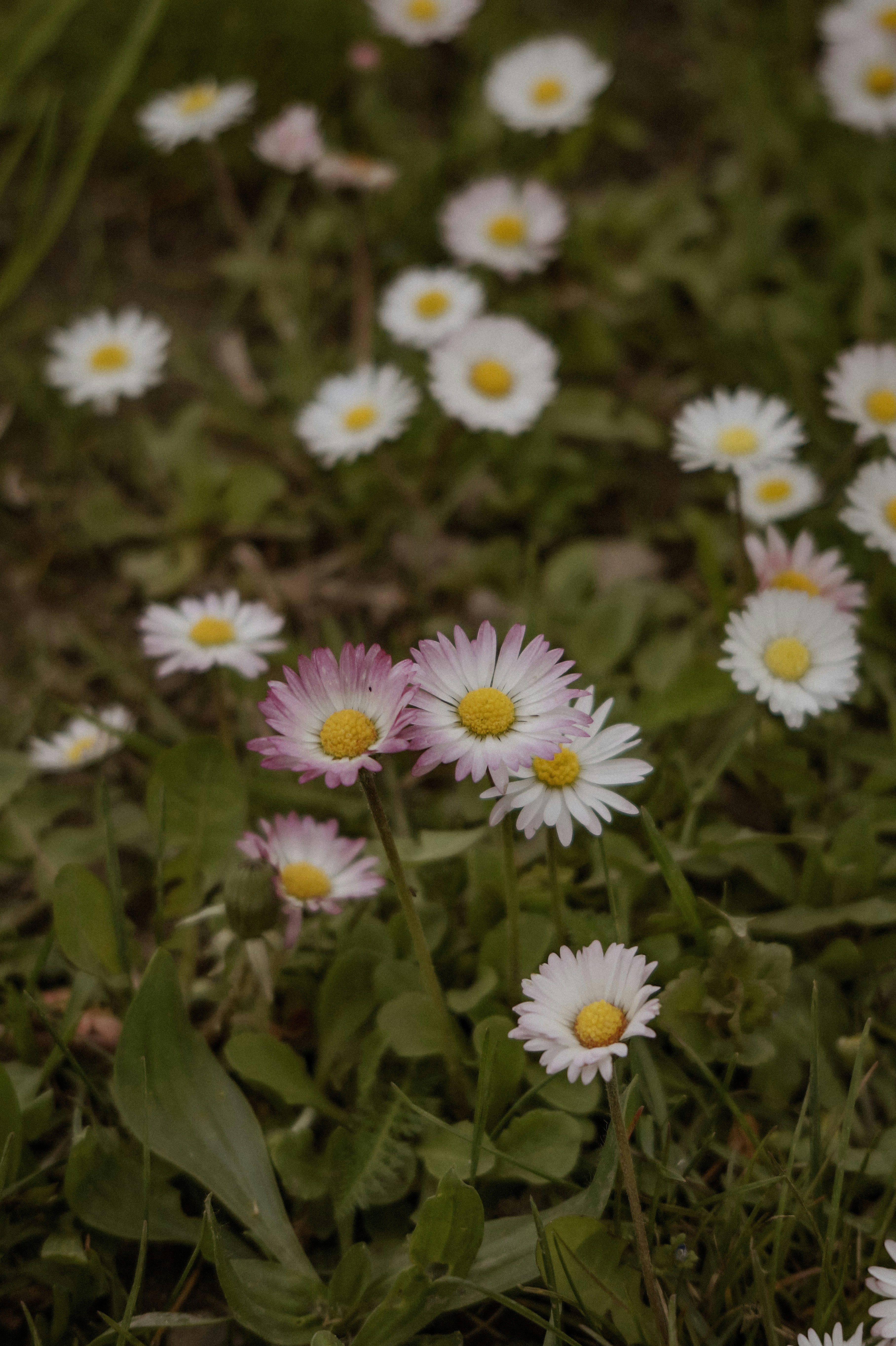 Photo by valentine_ivanova