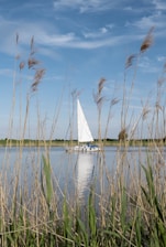 a sailboat on the water