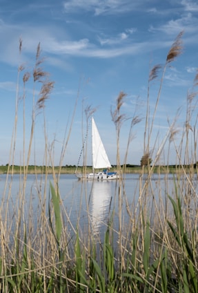 a sailboat on the water