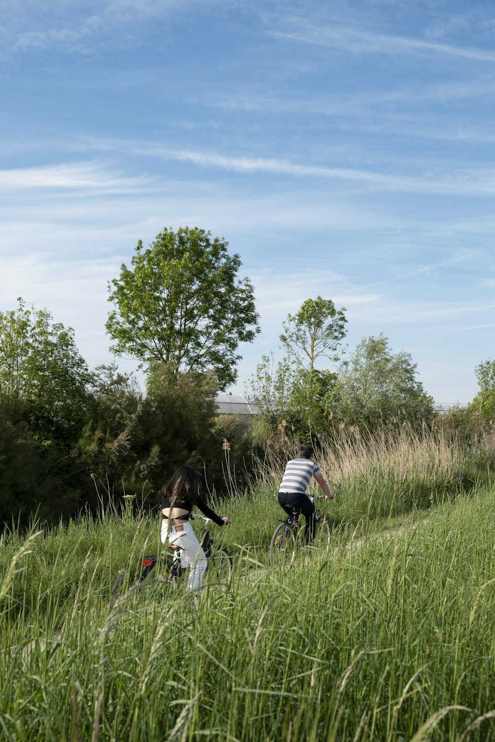 a couple of people riding bikes through tall grass