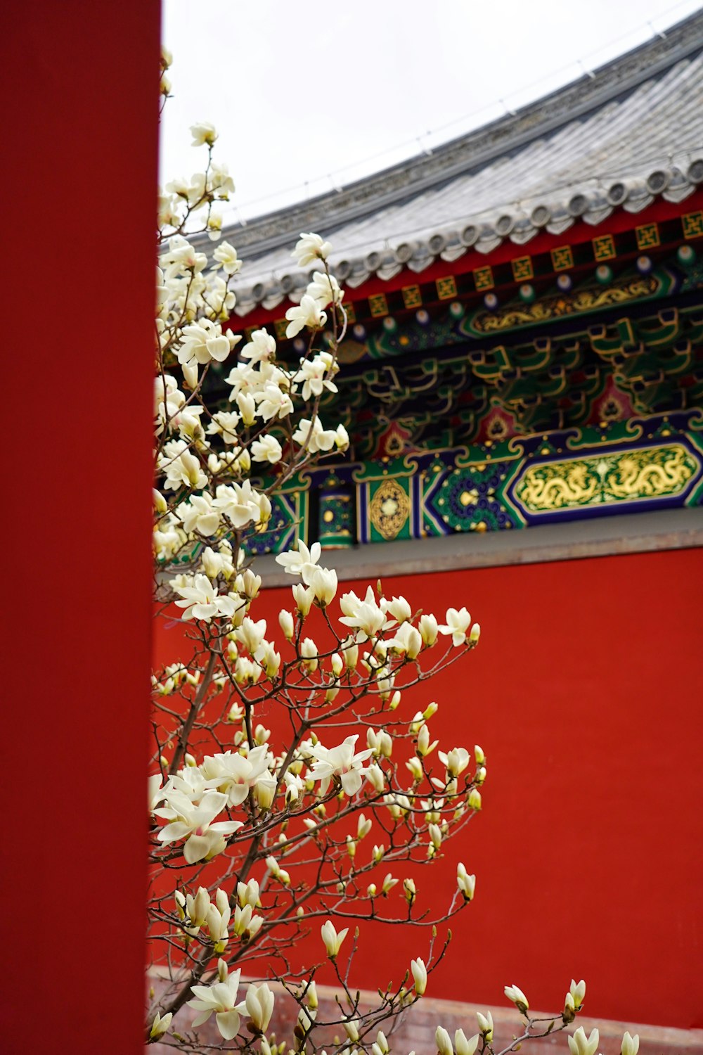 a wreath of white flowers in front of a red wall