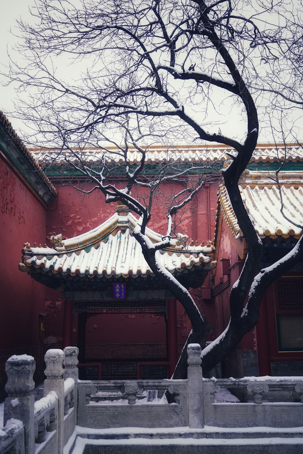 a red building with a tree in front of it