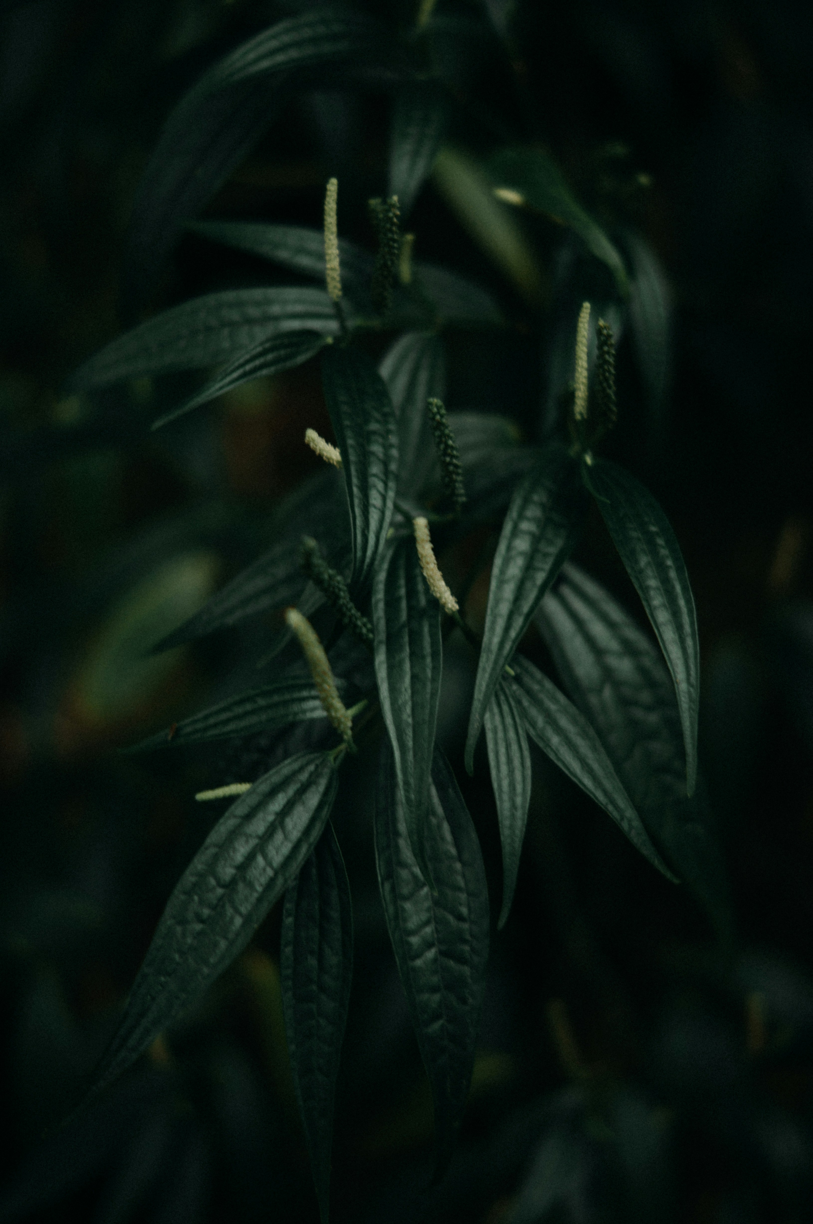 Photo by milo_contreras