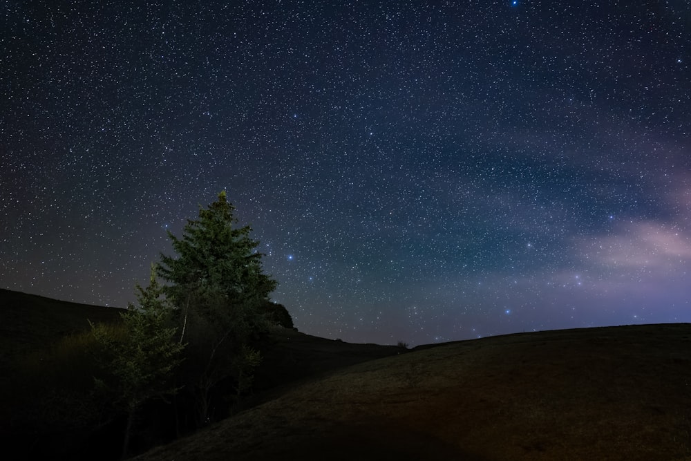 a hill with trees and stars in the sky