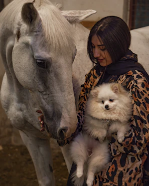 Woman holding small dog next to white horse