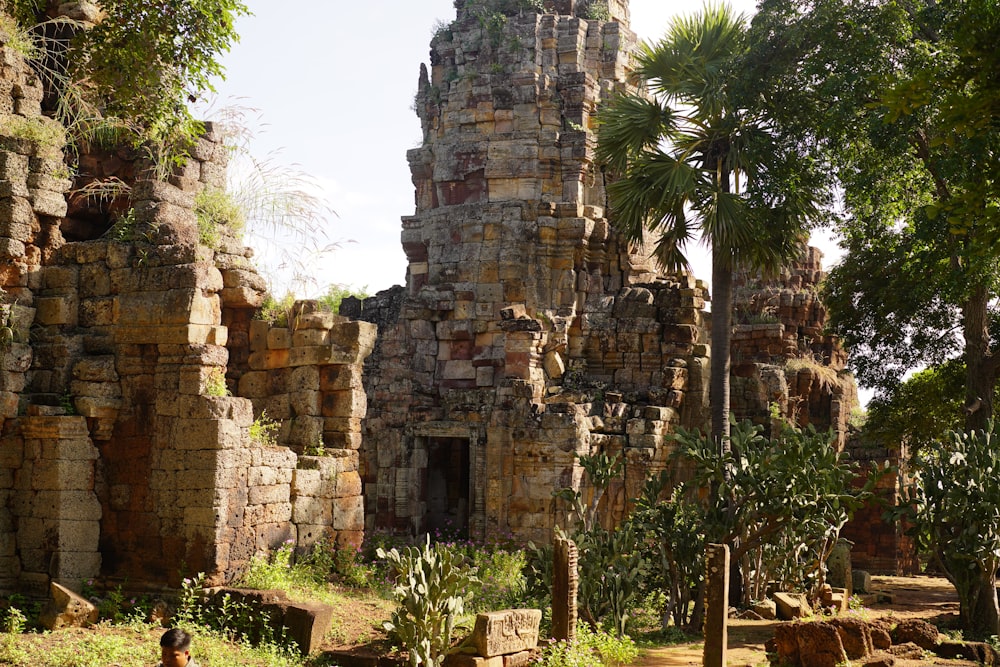 a stone building with trees and plants