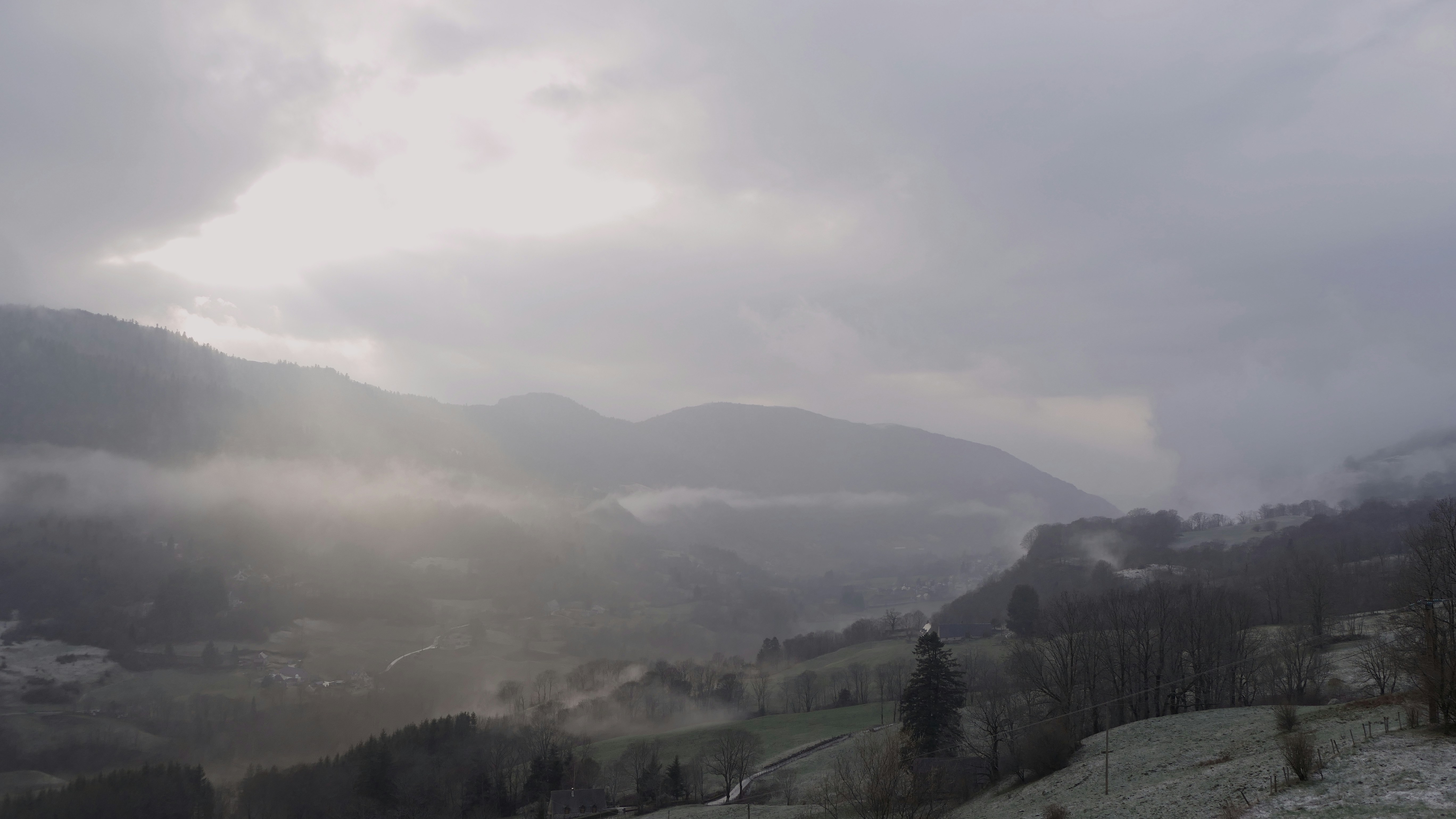 a foggy valley with trees and mountains in the background 풍경 사진