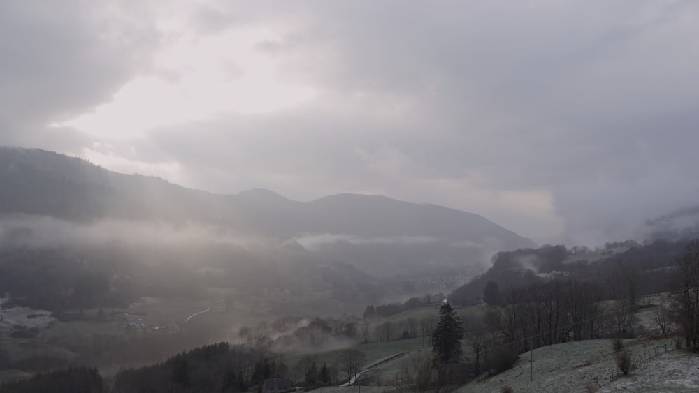 a foggy valley with trees and mountains in the background