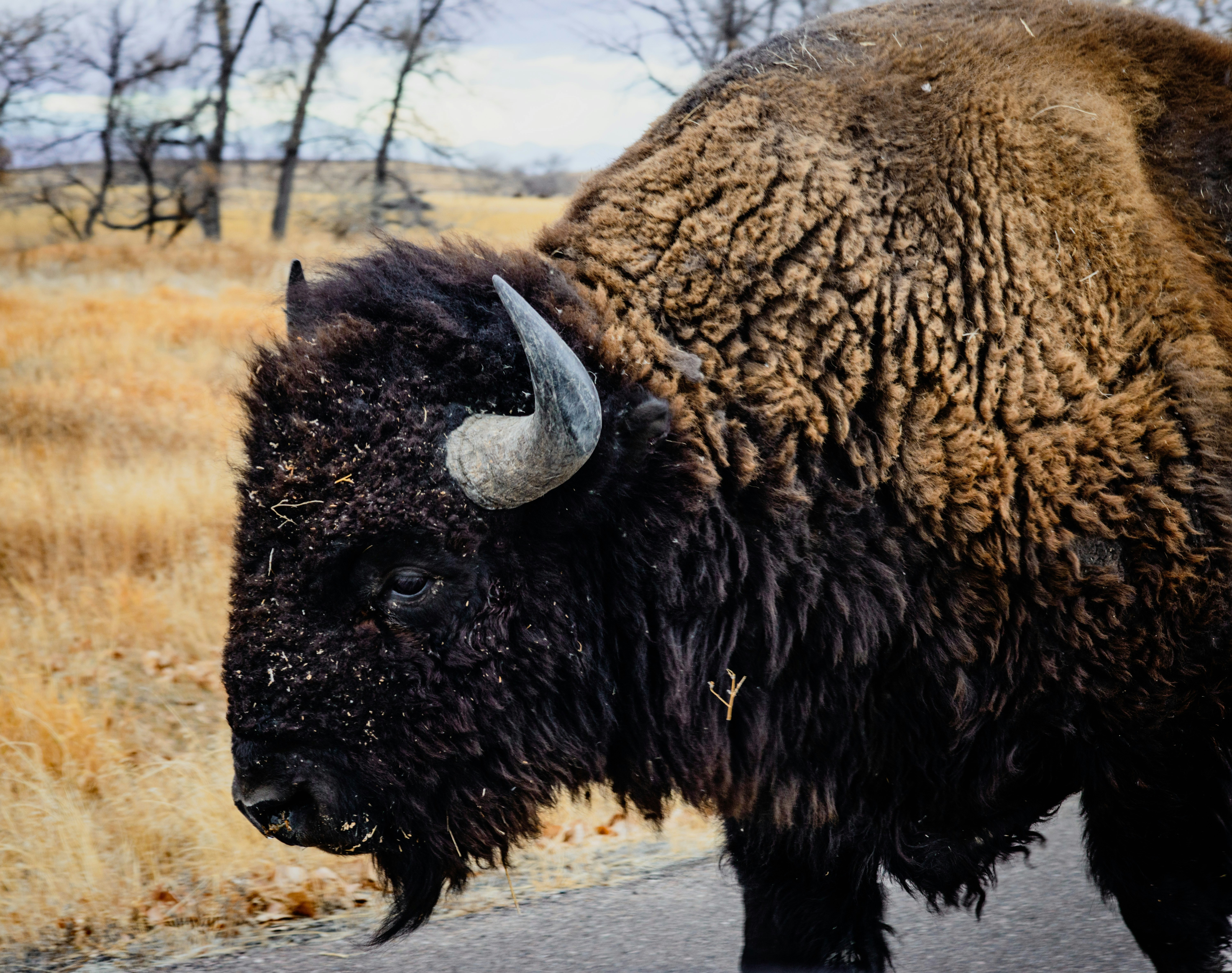 Photo by colorfulcoloradoimagery