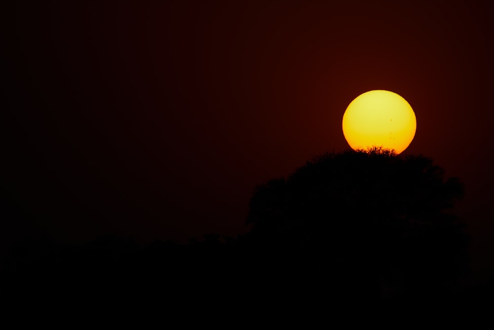 a full moon in the sky