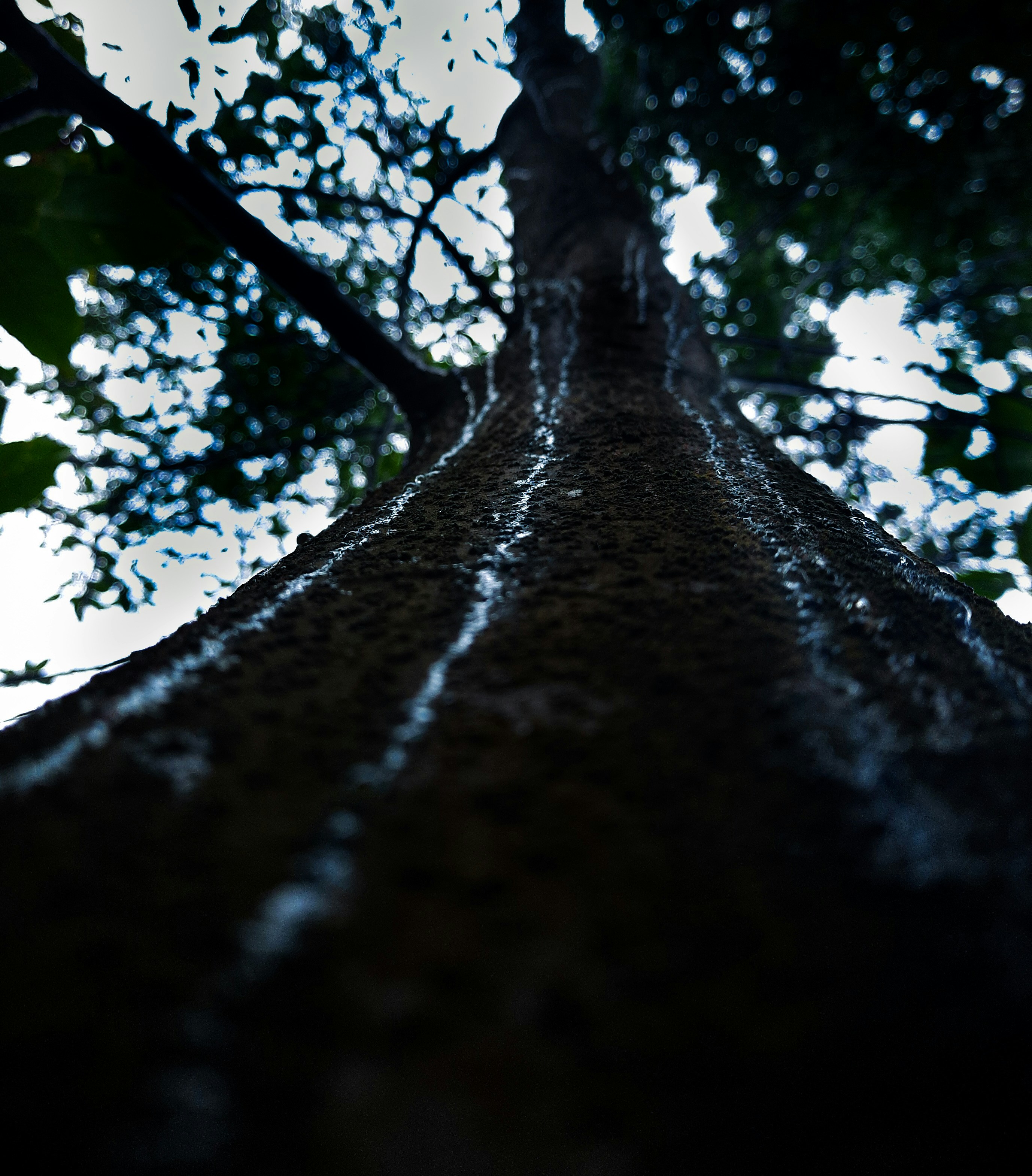 Photo by mahabubiit3