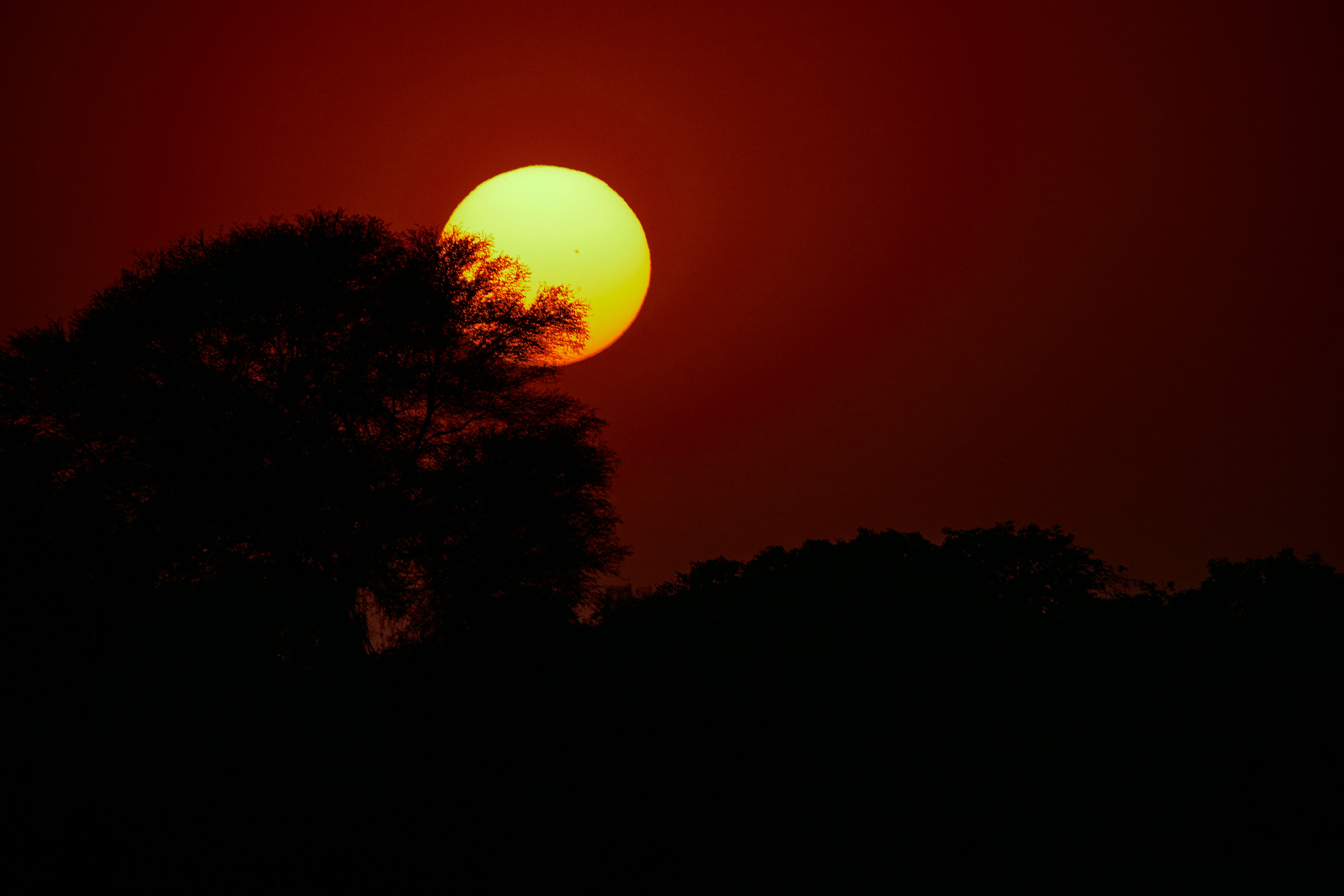 Photo by wildandbeyondbyvivek