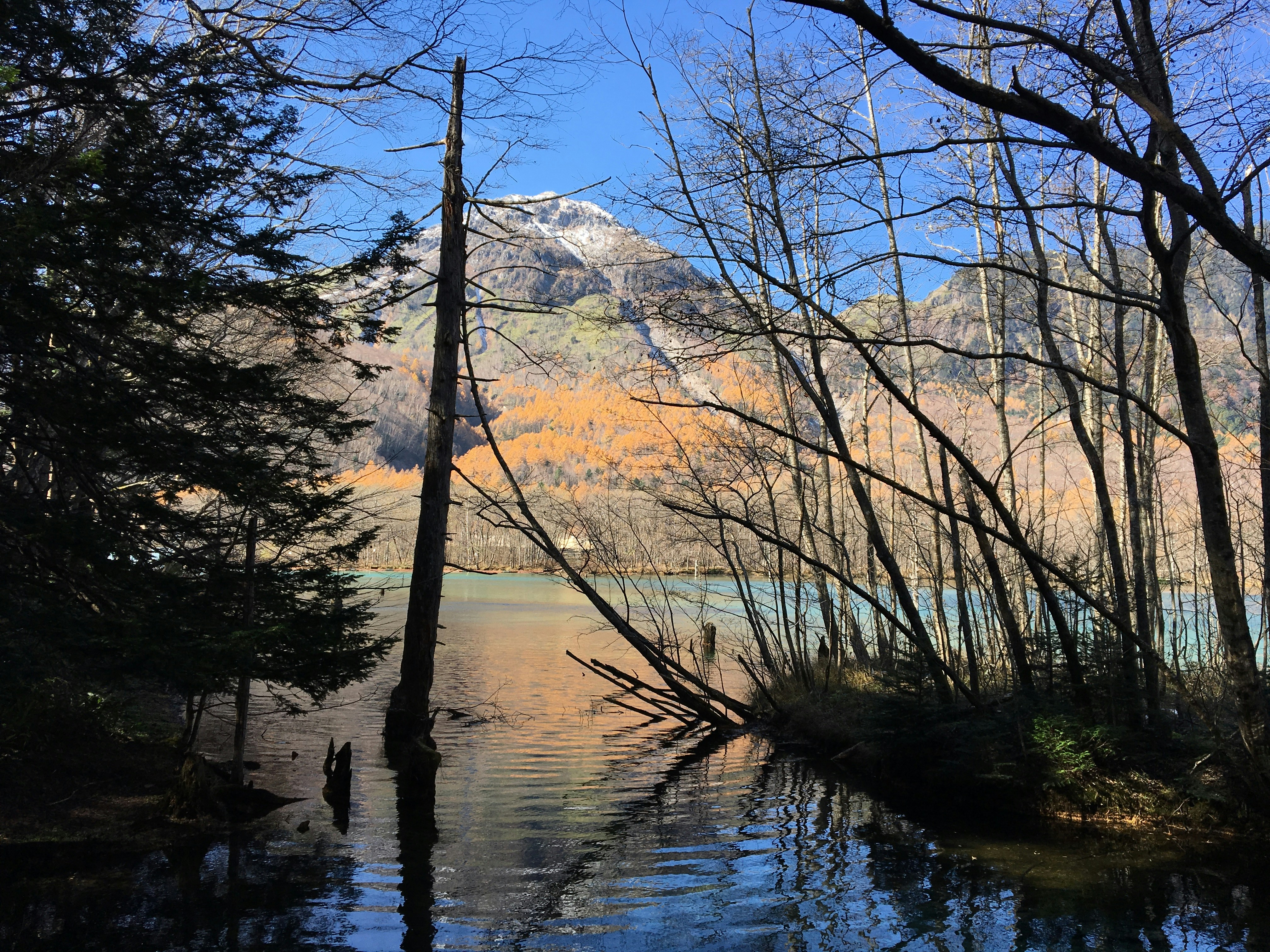 木々や山々を背景にした湖
