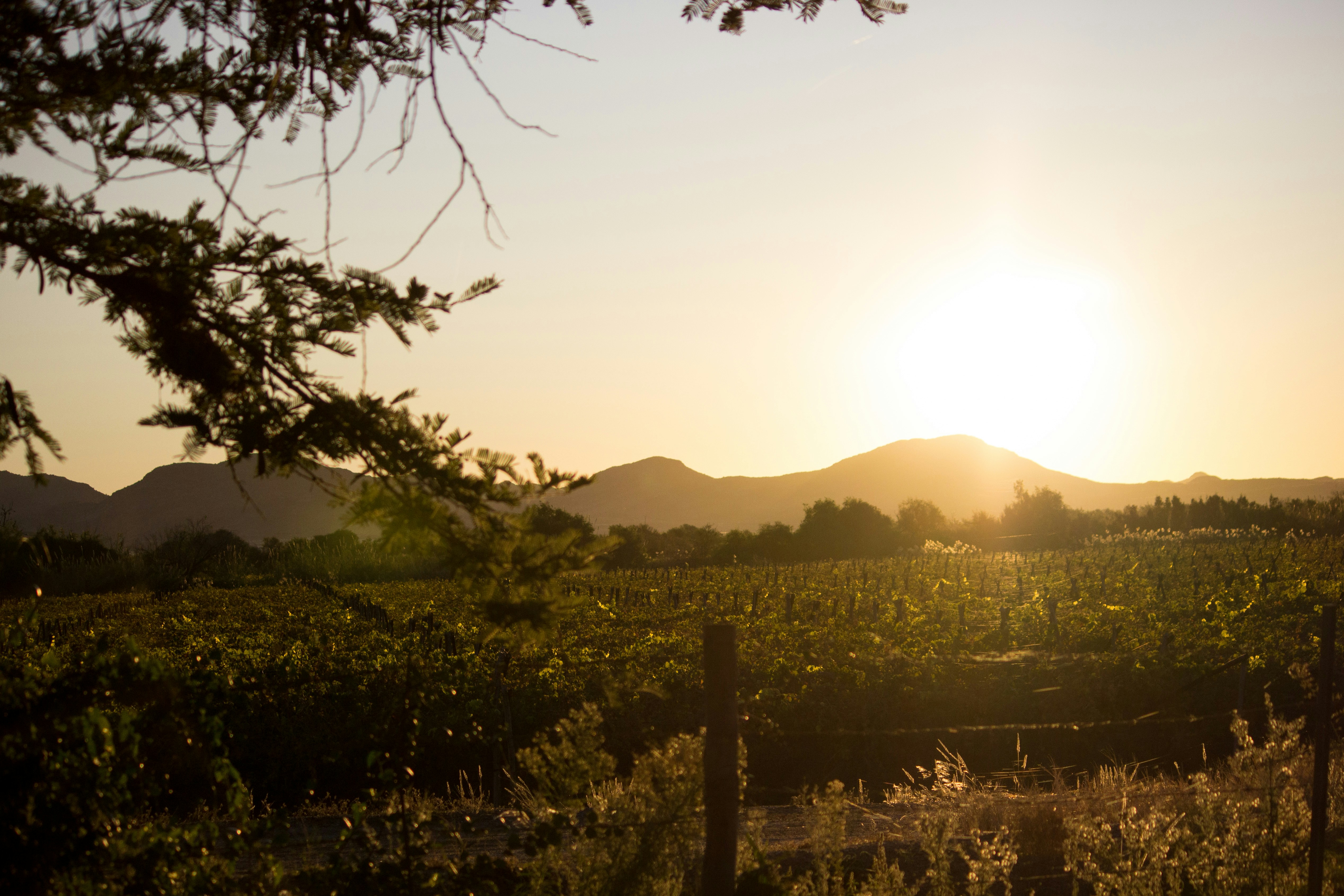 Photo by oogie_media