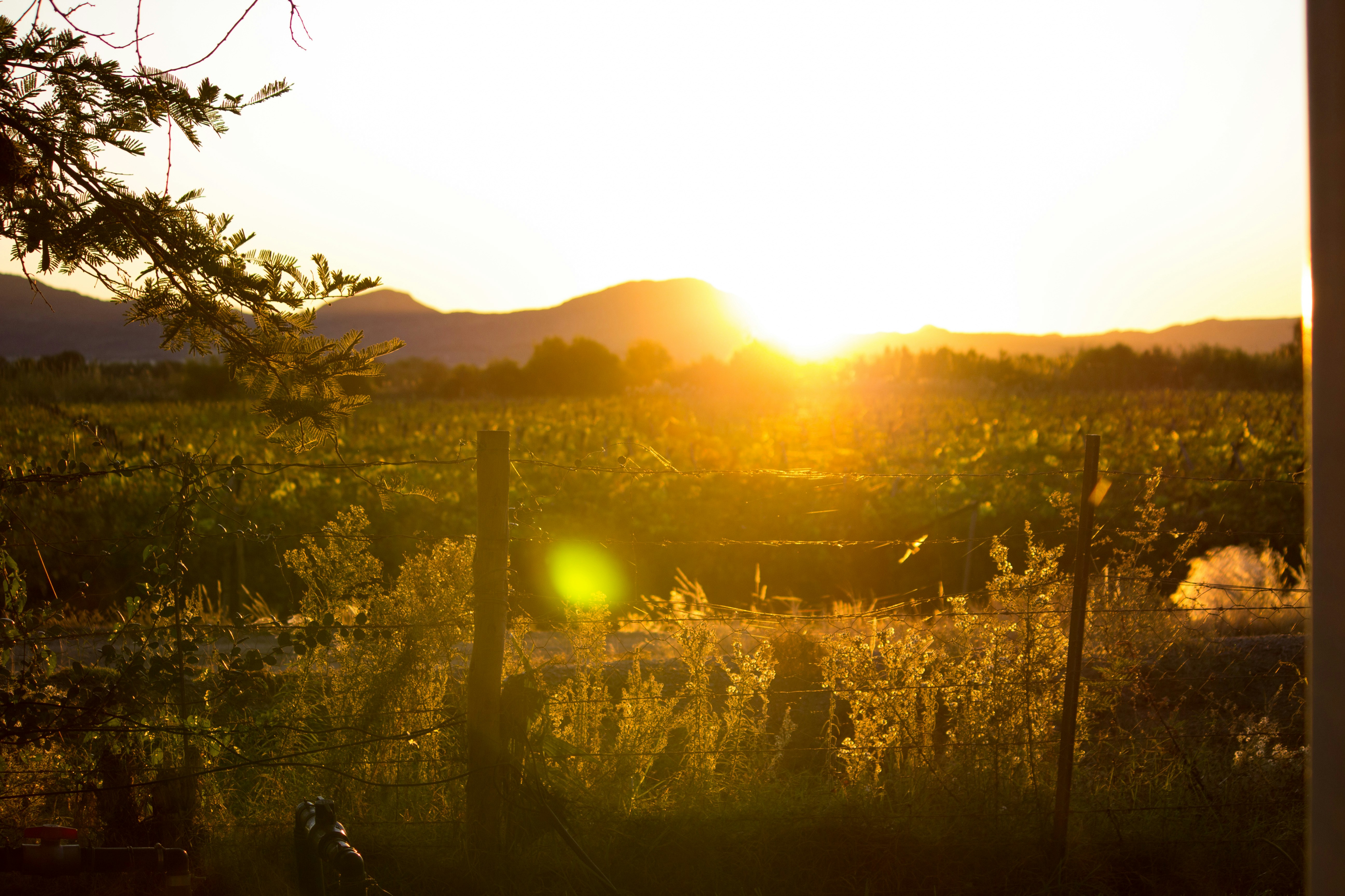 Photo by oogie_media