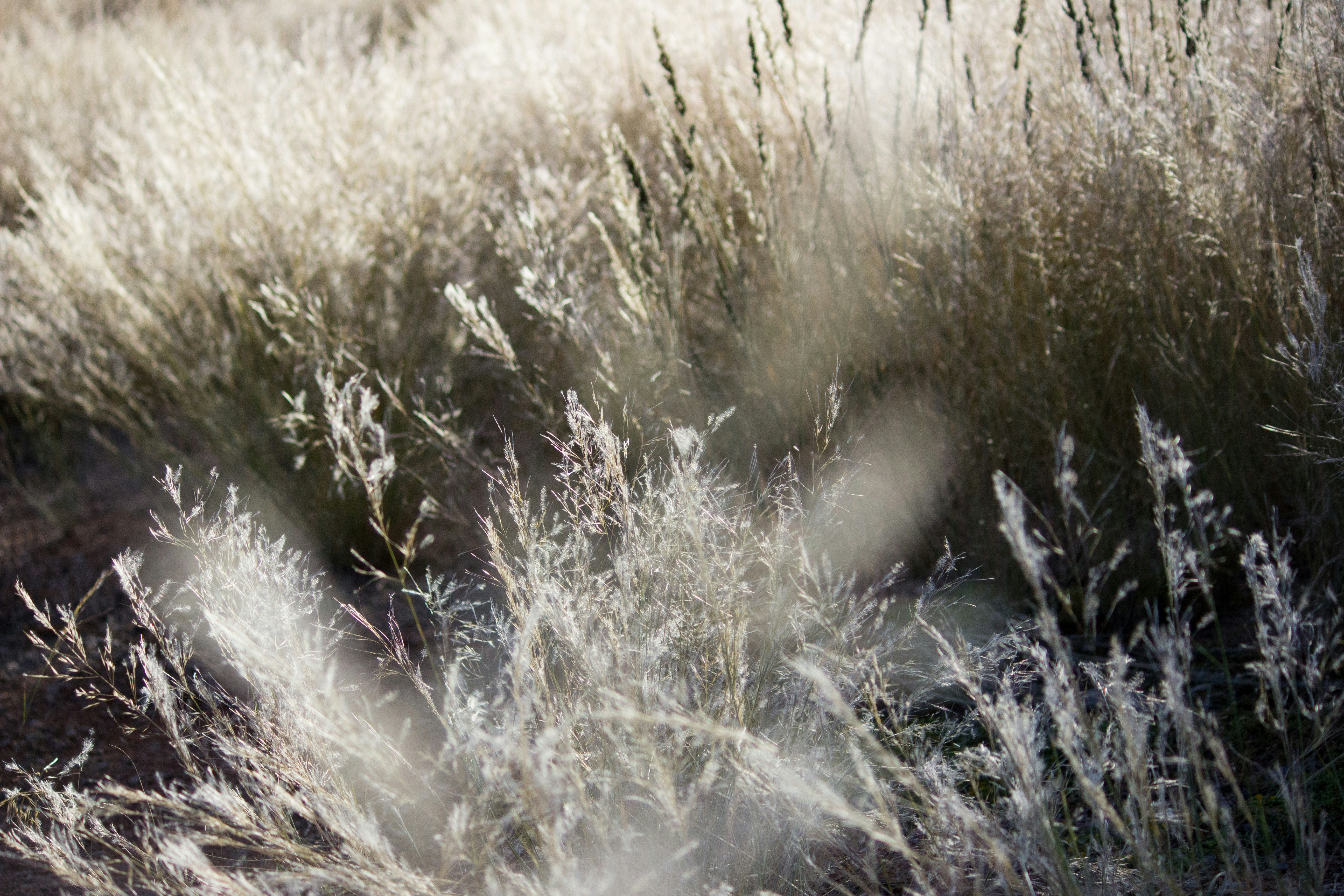 Photo by oogie_media