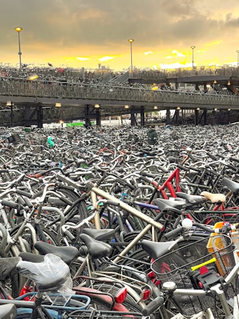 A well-organized bike parking area with multiple bicycles secured to racks under a bright blue sky.