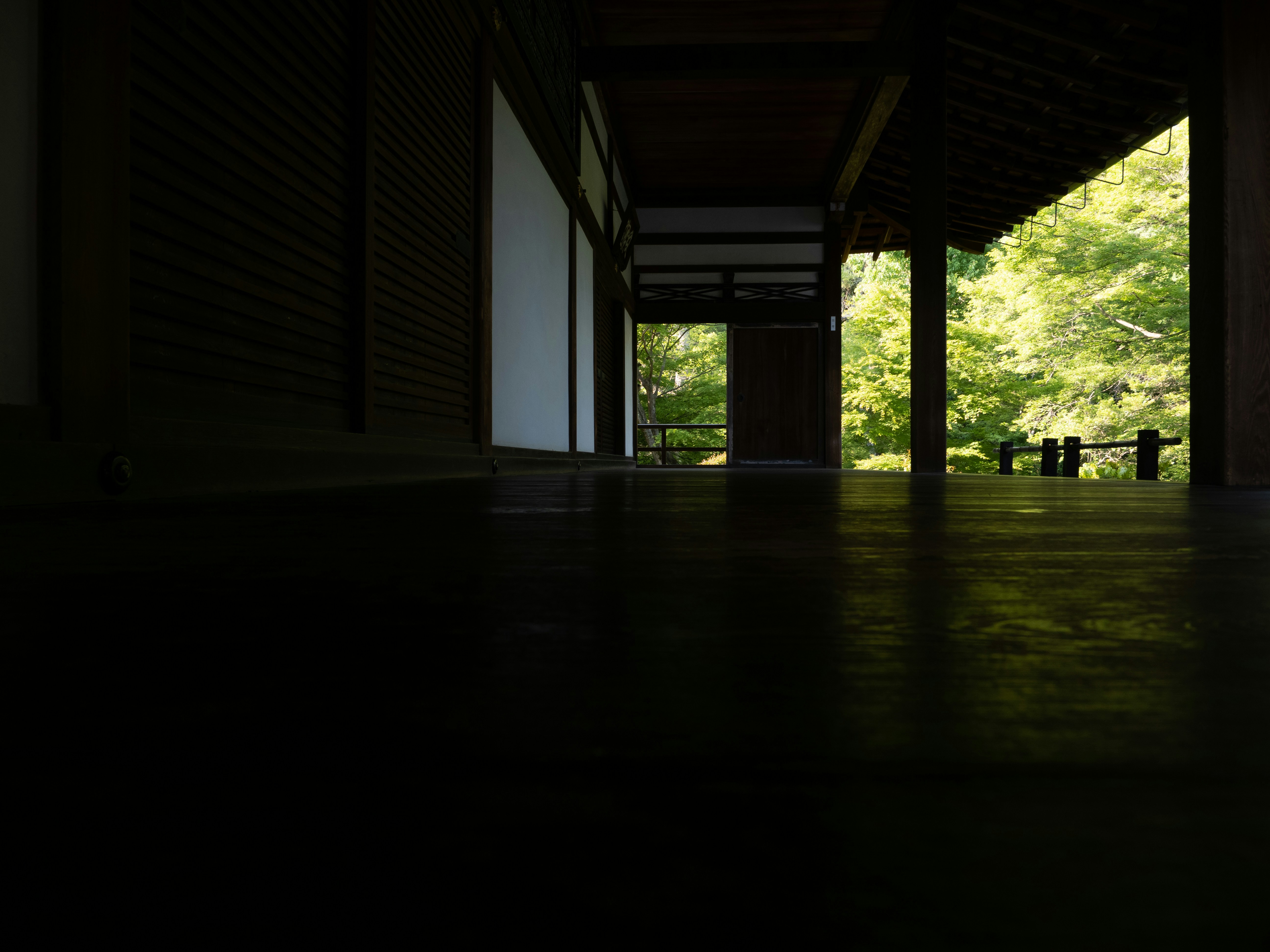 Photo by shellingfordyu