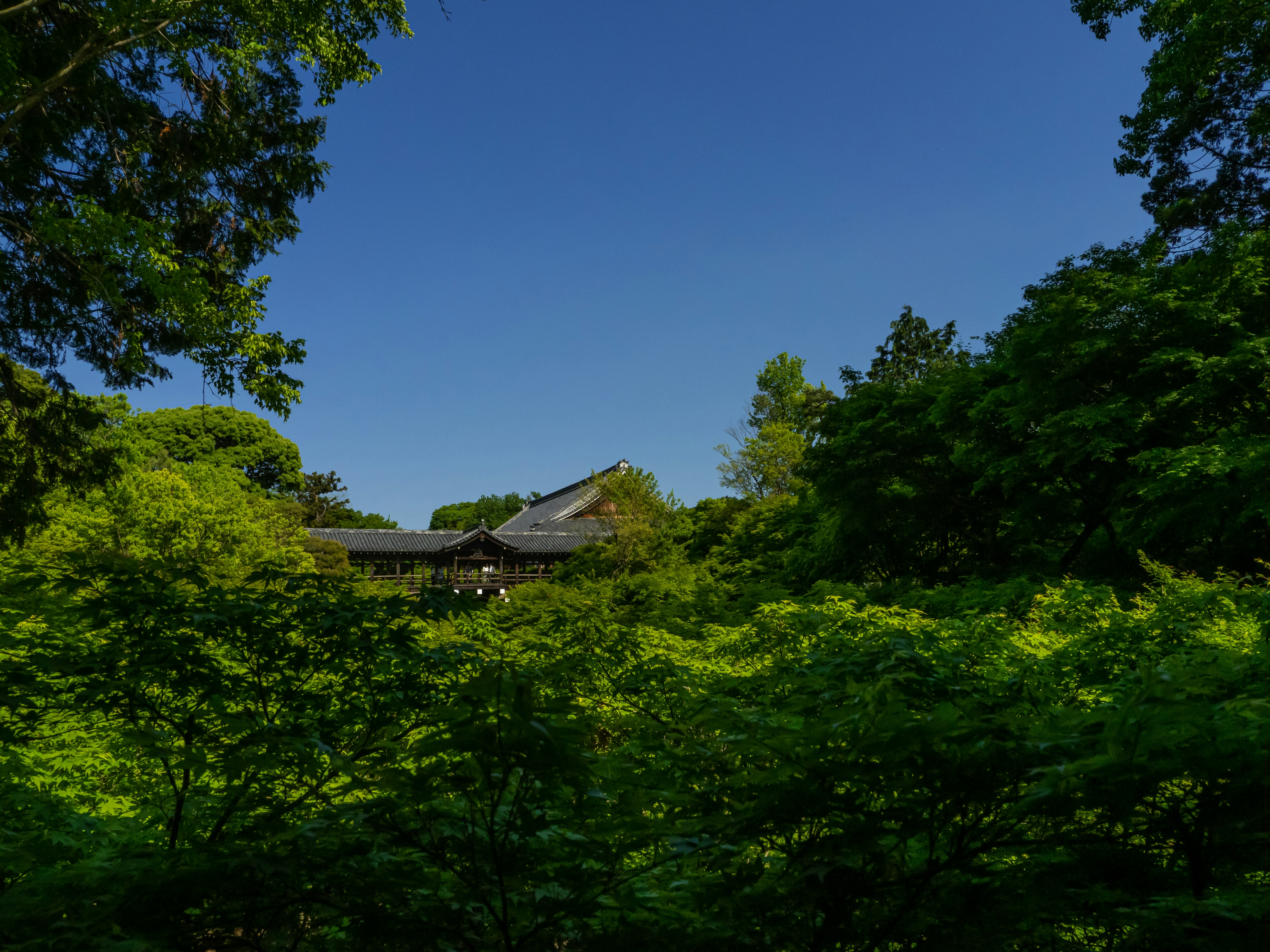 Photo by shellingfordyu