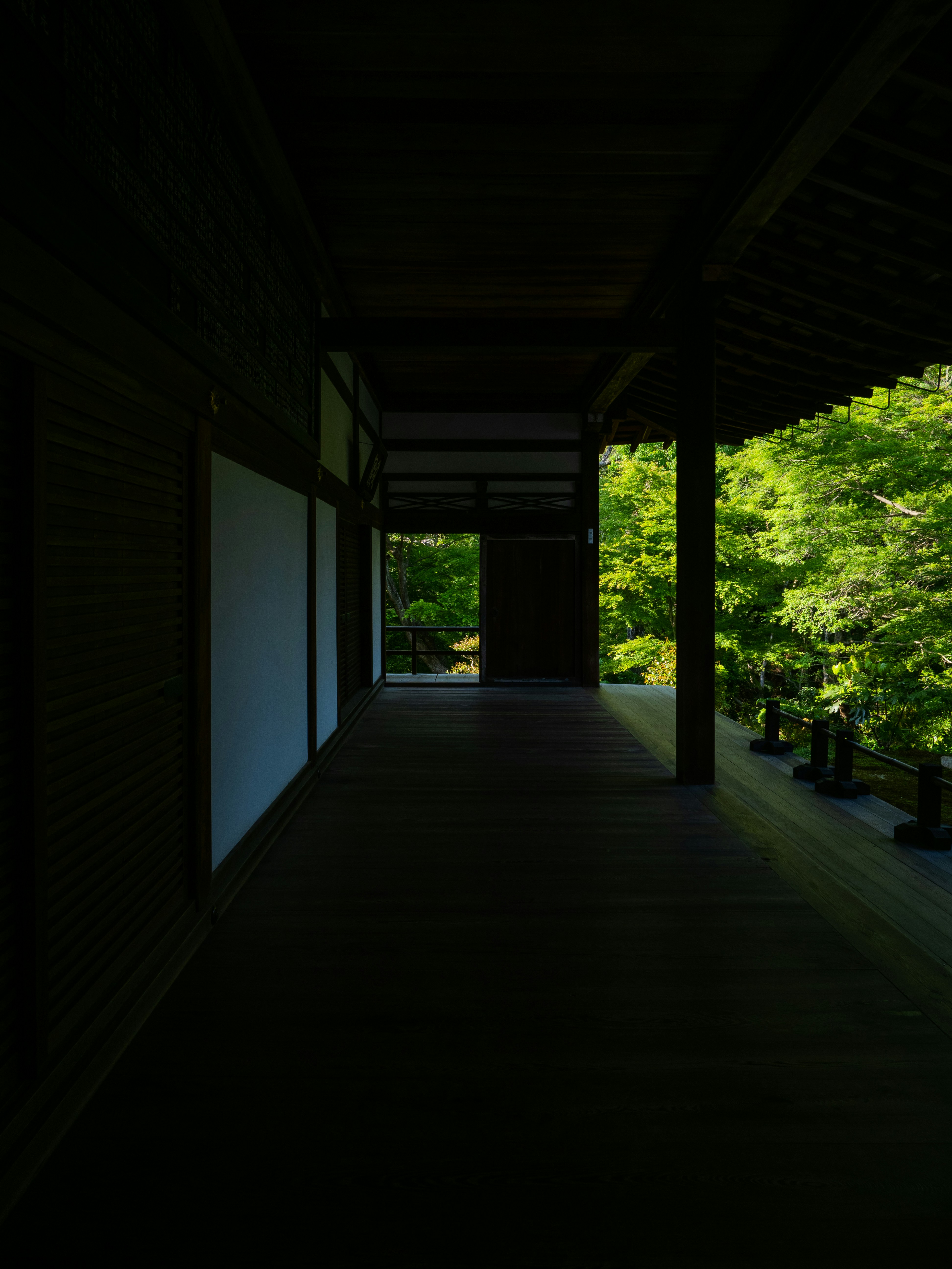 Photo by shellingfordyu