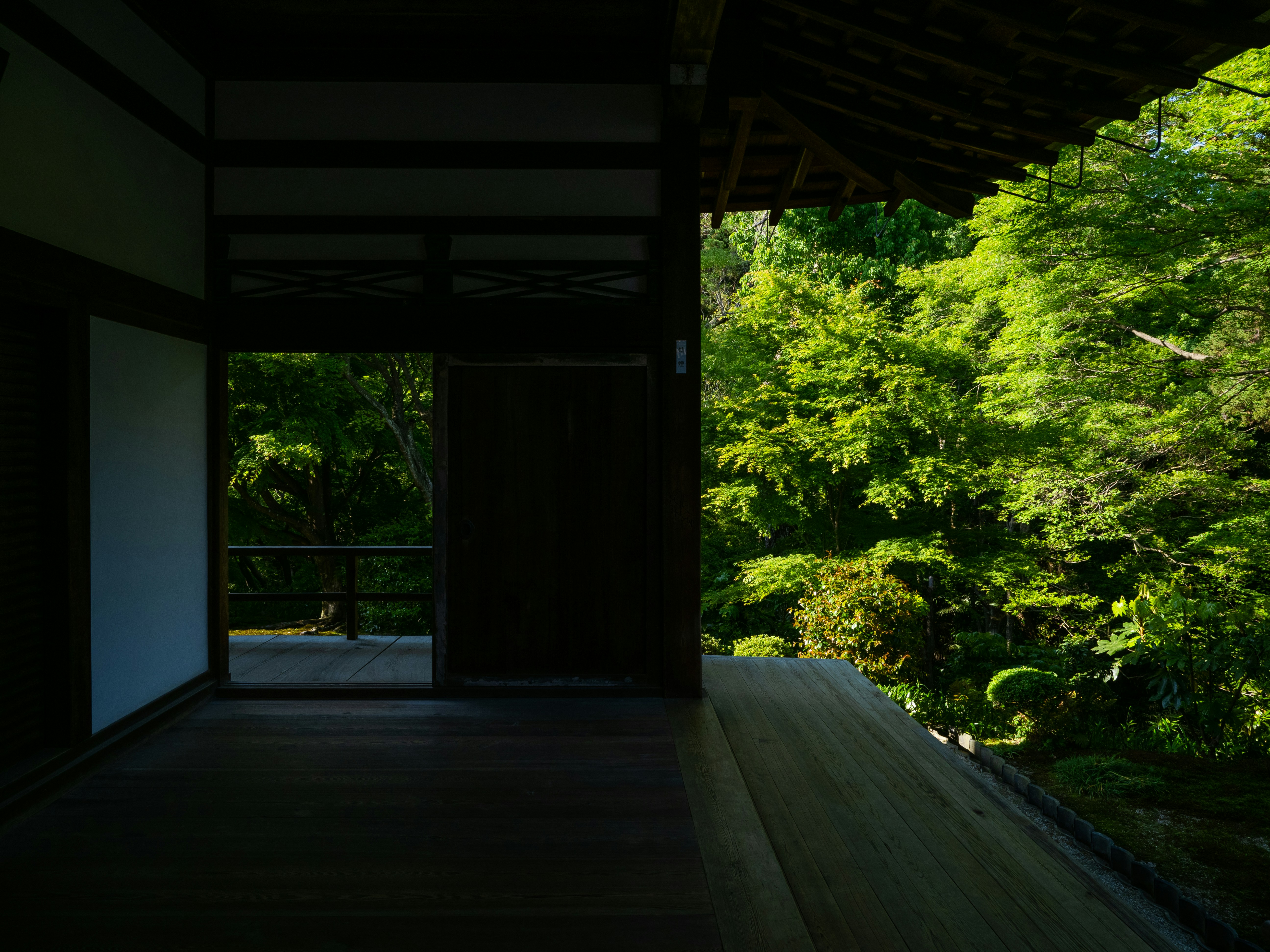 Photo by shellingfordyu